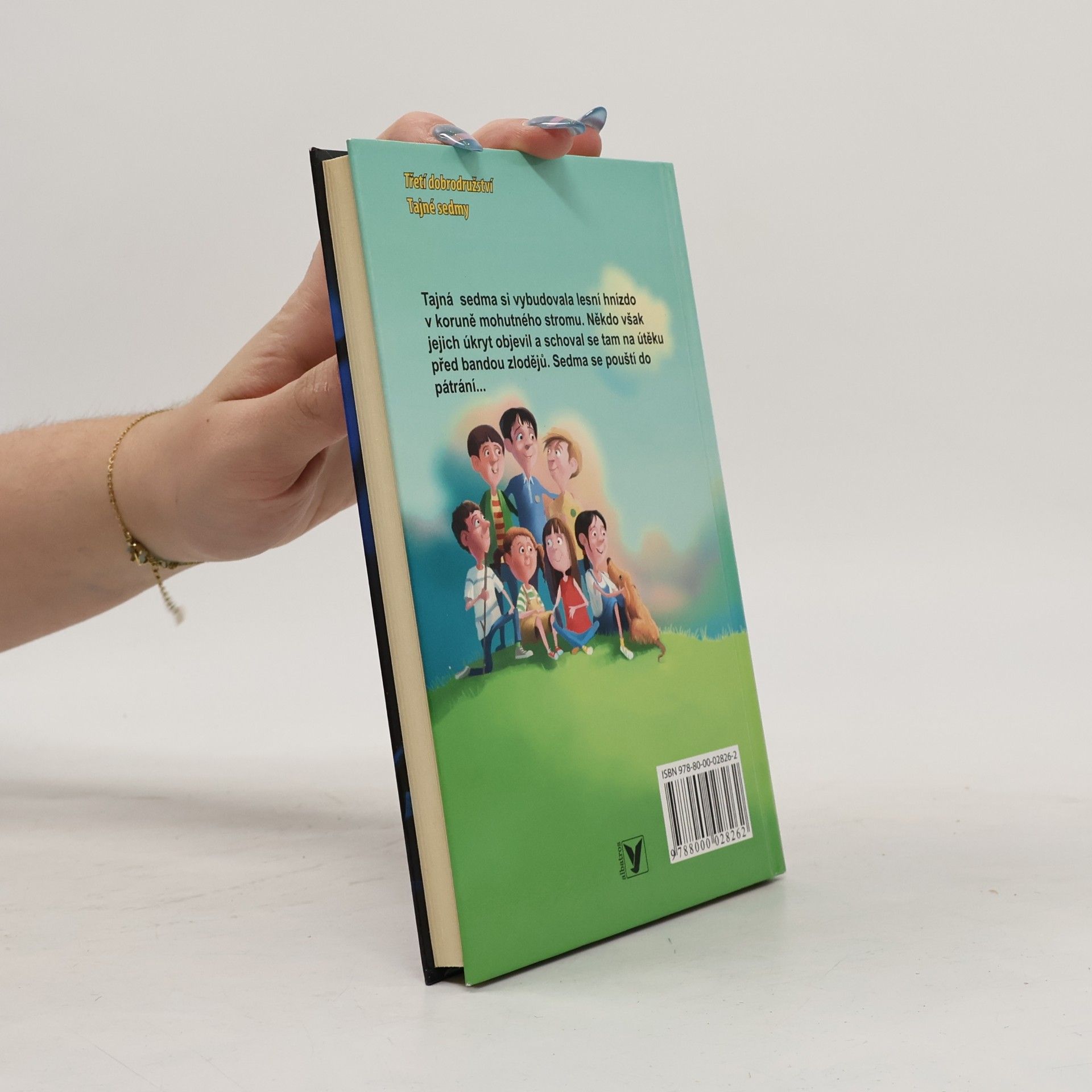Enid Blyton Lesní hnízdo
