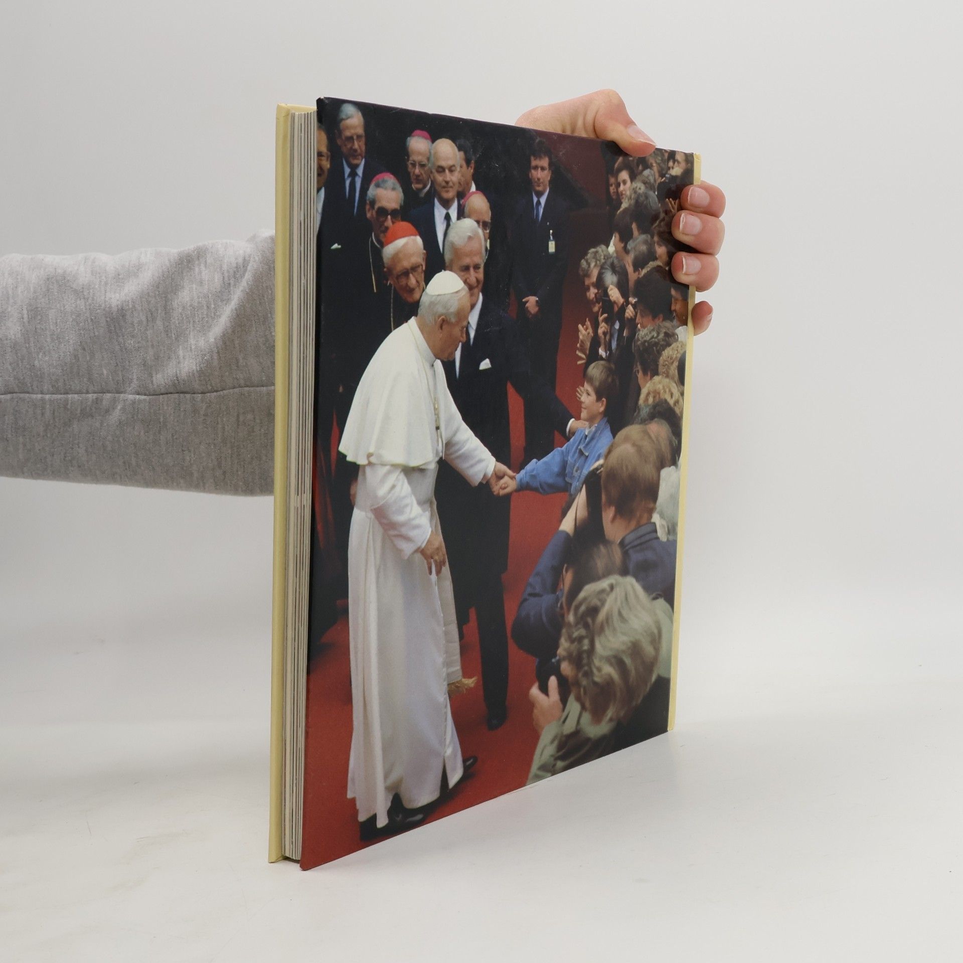 Hannes Burger Der Papst in Deutschland. Die Stationen seiner Reise 1987 zur Seligsprechung von Edith Stein in Köln und Pater Rupert Mayer in München.