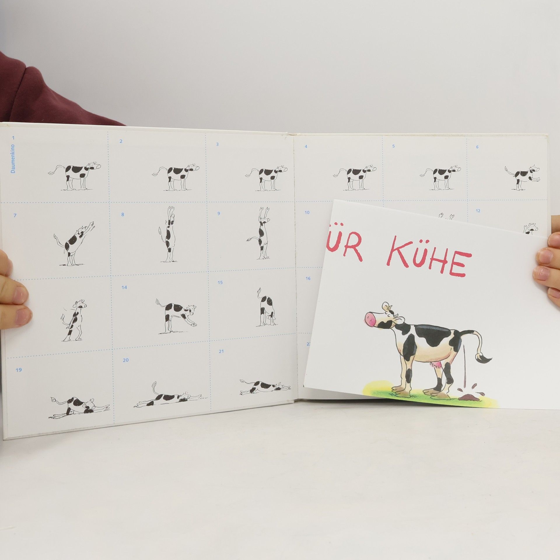 Klaus Puth Yoga für Kühe