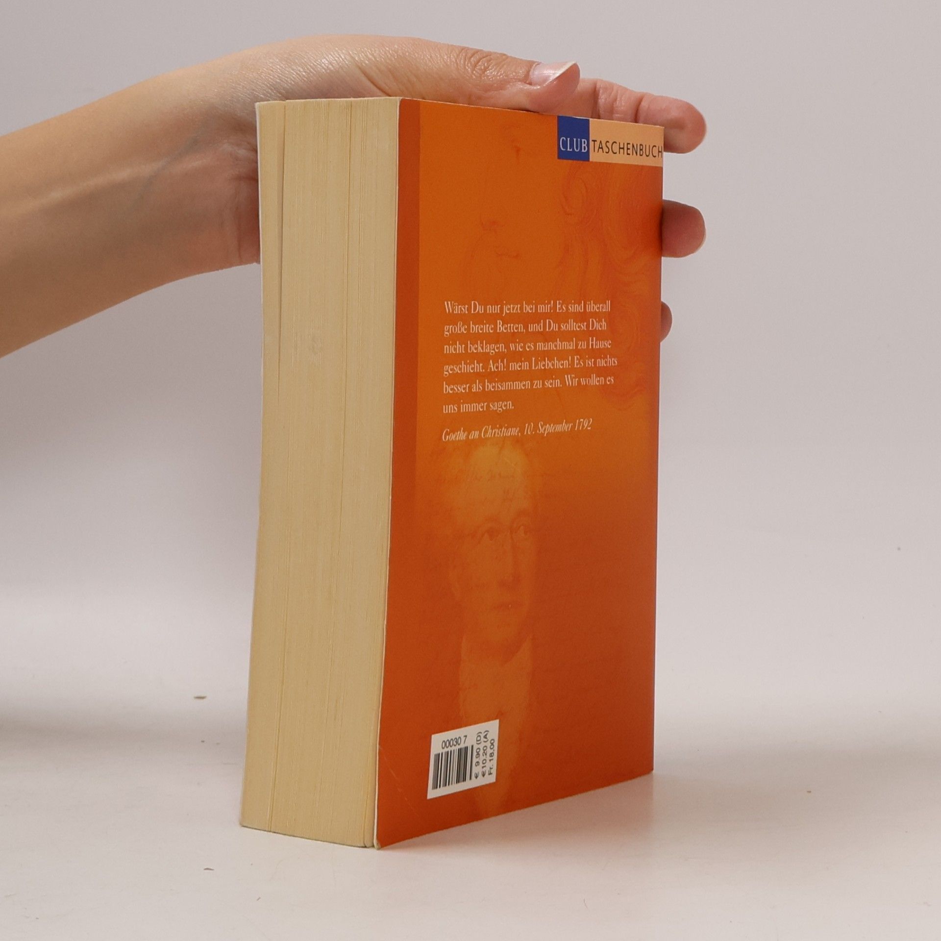Sigrid Damm Christiane und Goethe