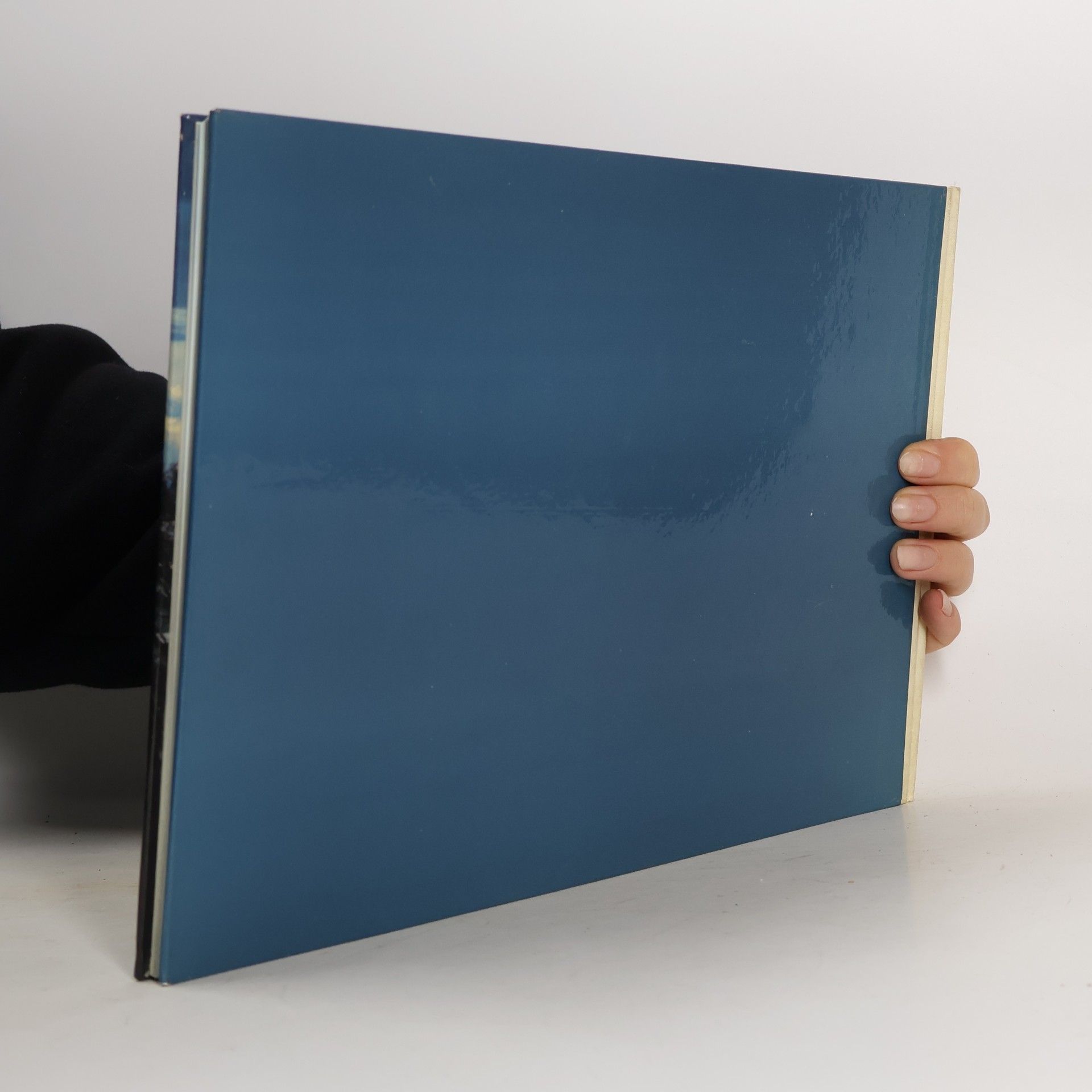 Collectif d'auteurs Malerischer Bodensee