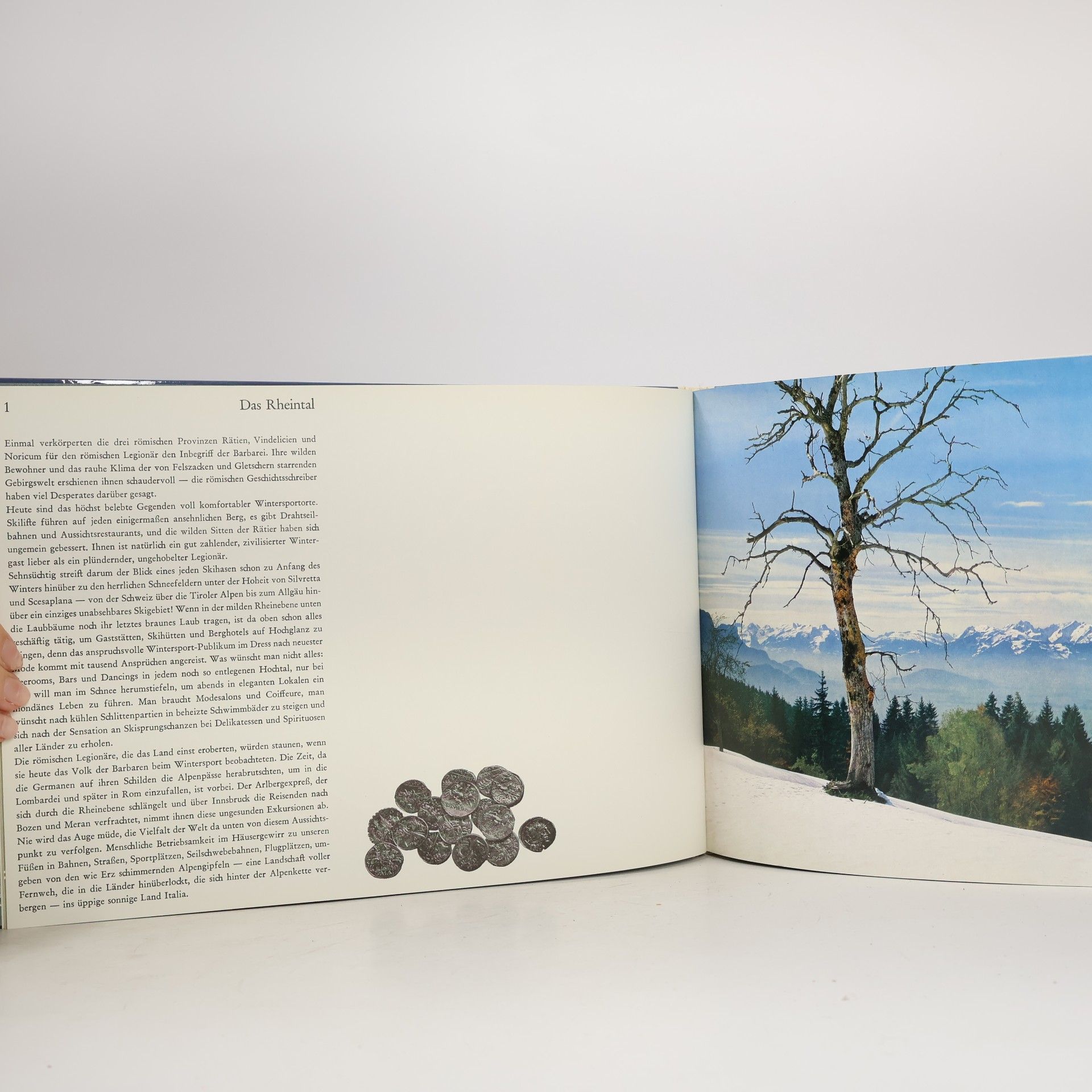 Collectif d'auteurs Malerischer Bodensee