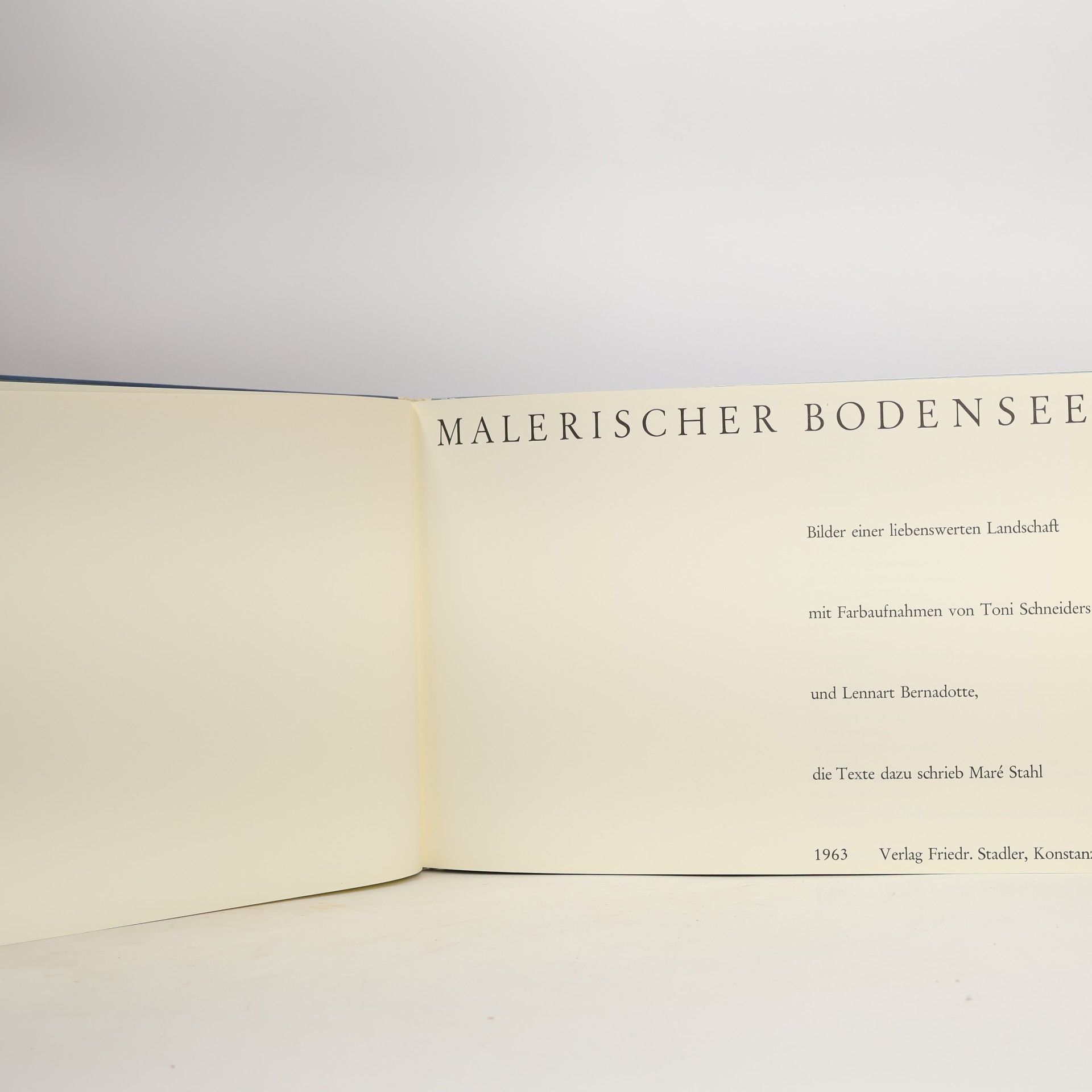 Collectif d'auteurs Malerischer Bodensee