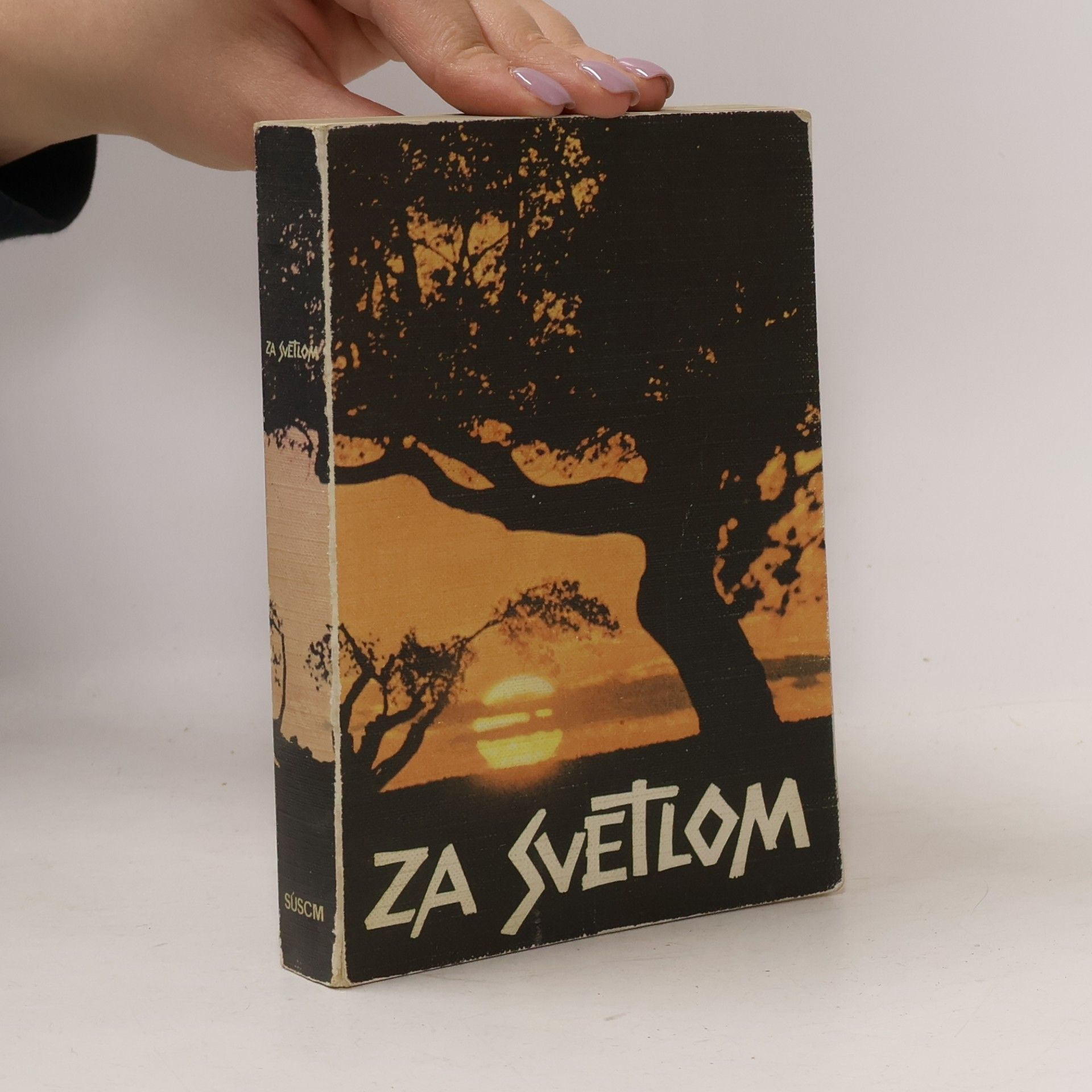 Za svetlom. Dejiny spásy v Starom zákone