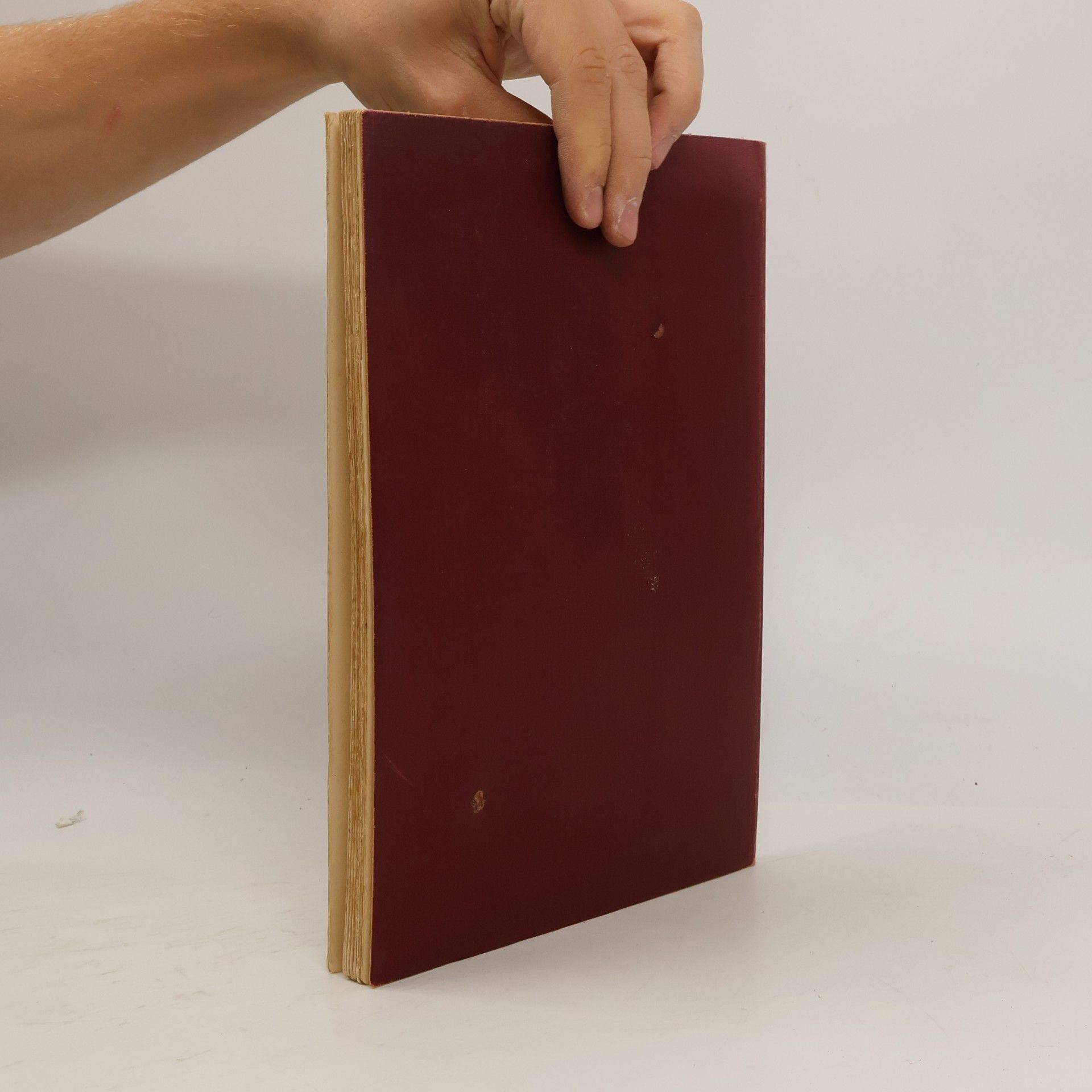 Henry Thode Künstler Monographien - Correggio
