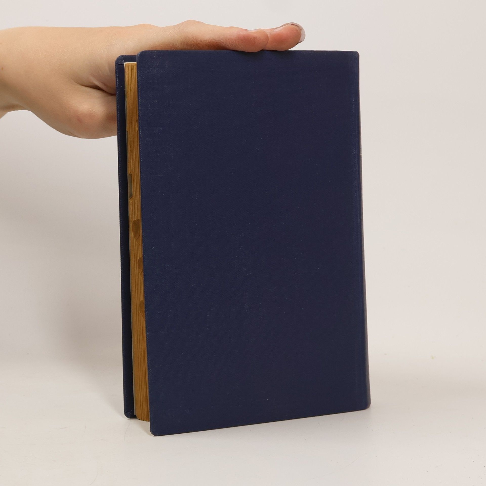 Various authors "Hütte" des Ingenieurs Taschenbuch