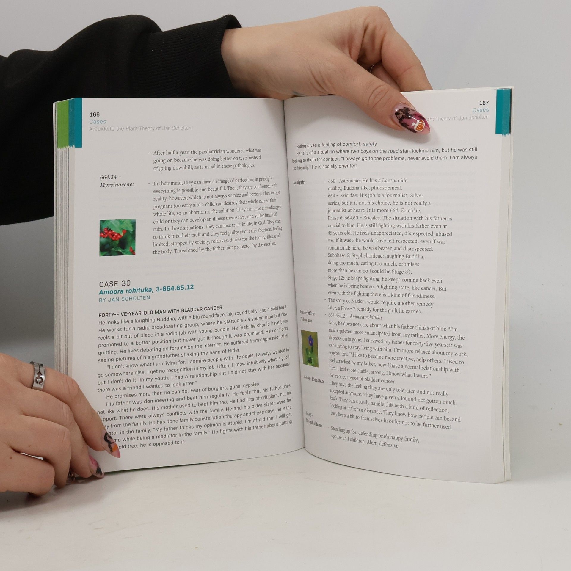 Deborah Collins A Guide to the Plant Theory of Jan Scholten