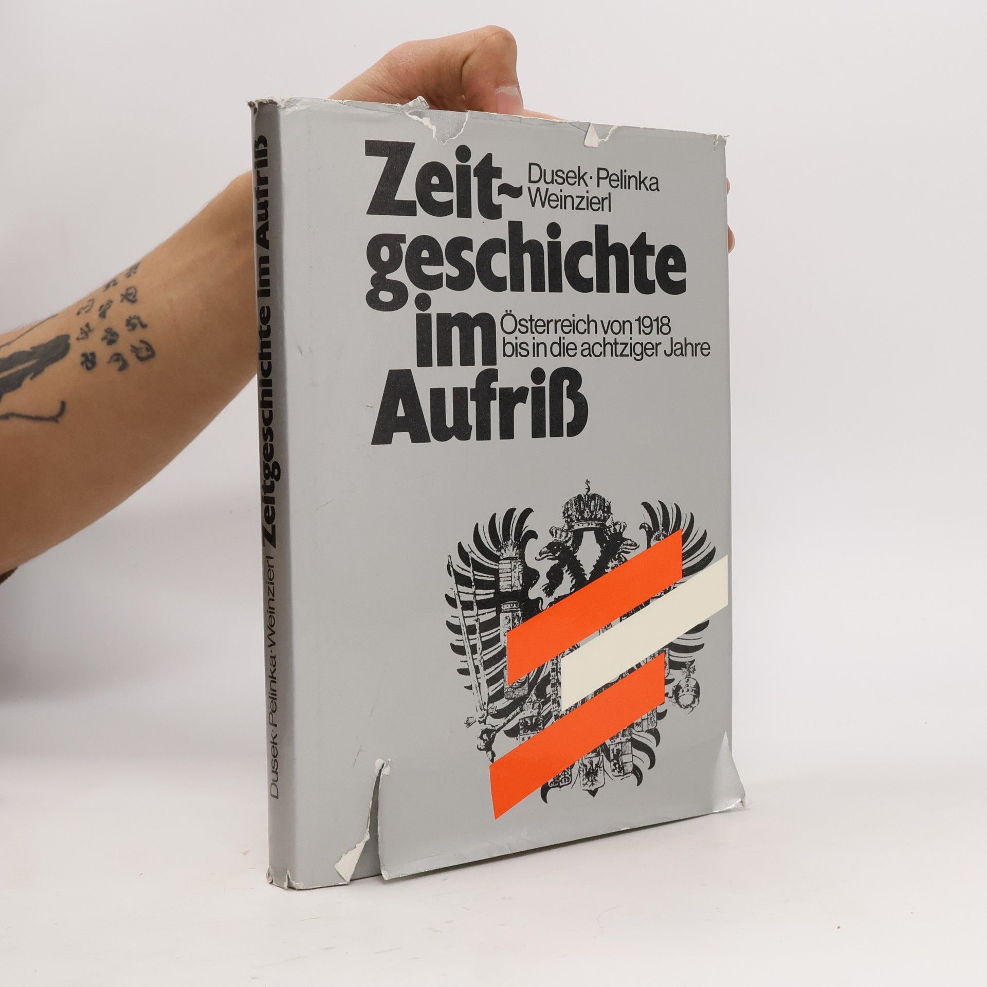 Zeitgeschichte im Aufriss