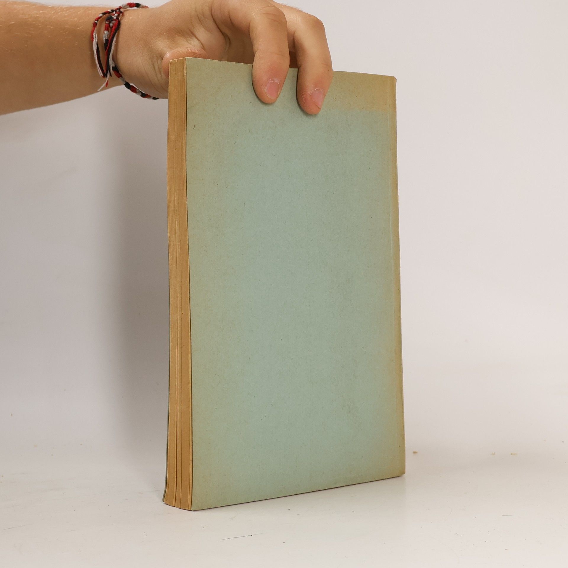 Alfred Miller Ultramontanes Schuldbuch