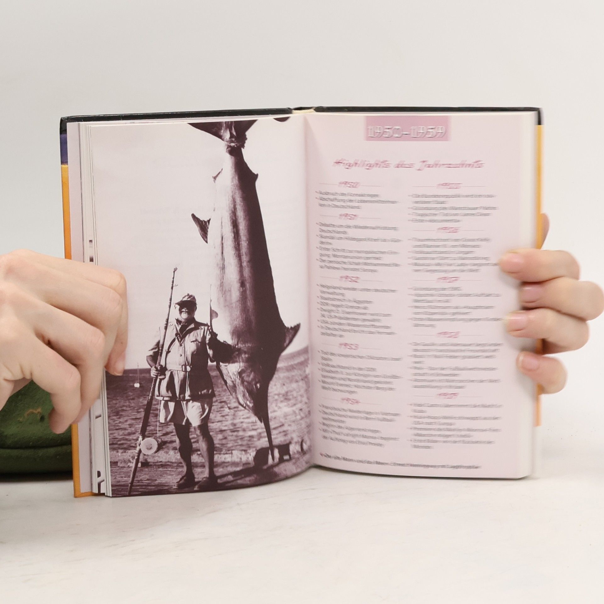 Kolektiv autorů Die persönliche Chronik. Das Buch vom 11. November