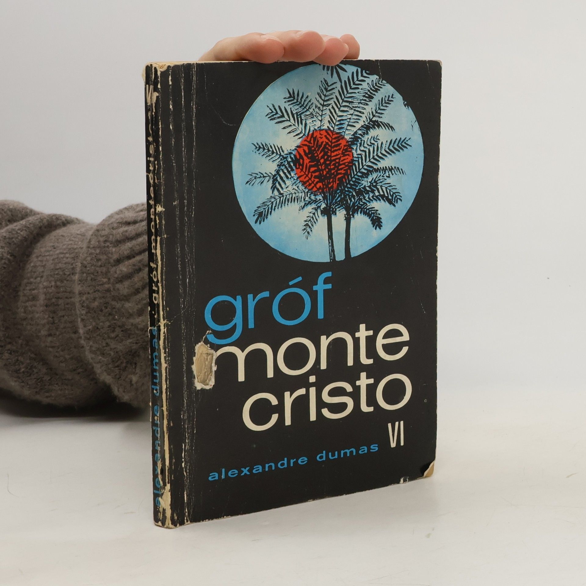 Gróf Monte Cristo VI