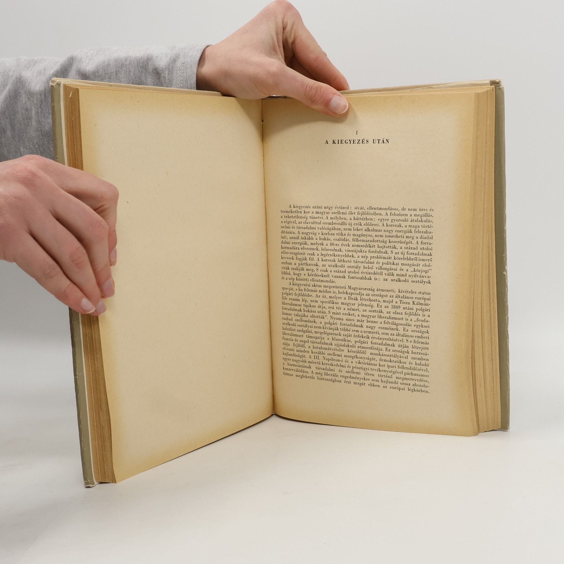 Various authors A magyar irodalom története