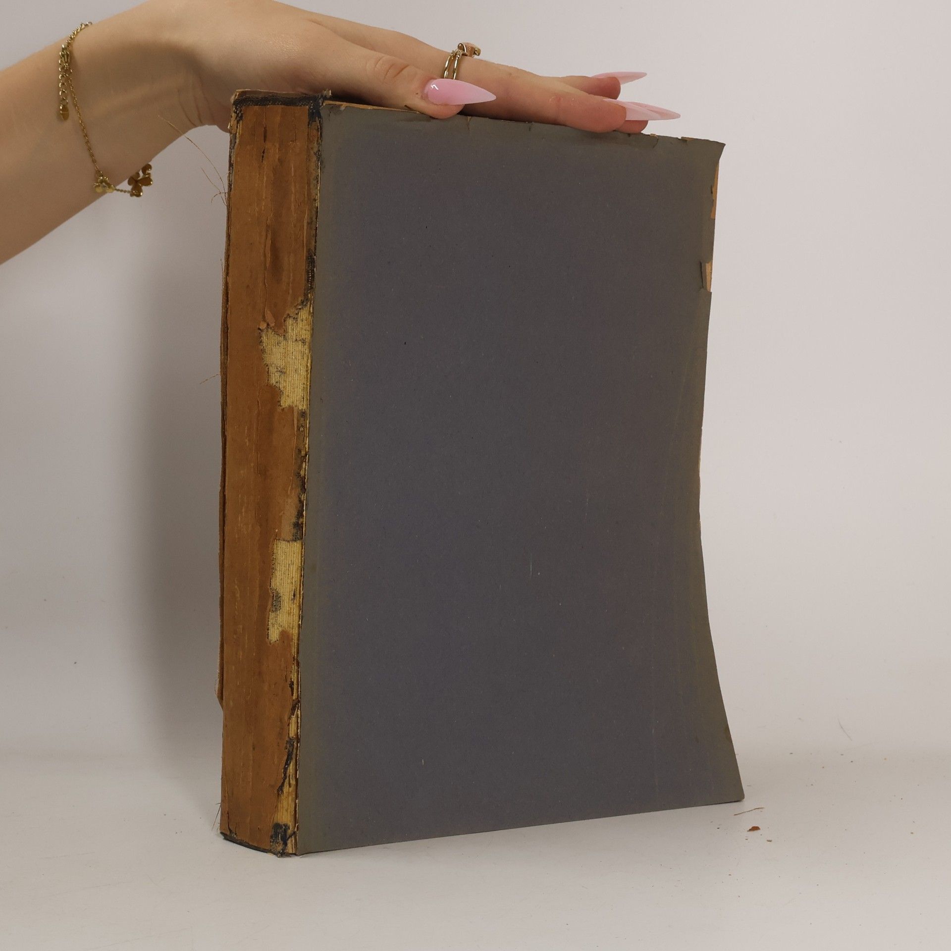 Autorenkollektiv Rede und Schrift. Praktisches Handbuch zur formvollendeten Ausbildung im geschäftlichen, öffentlichen und privaten Schriftwechsel sowie in der freien Vortragskunst 1