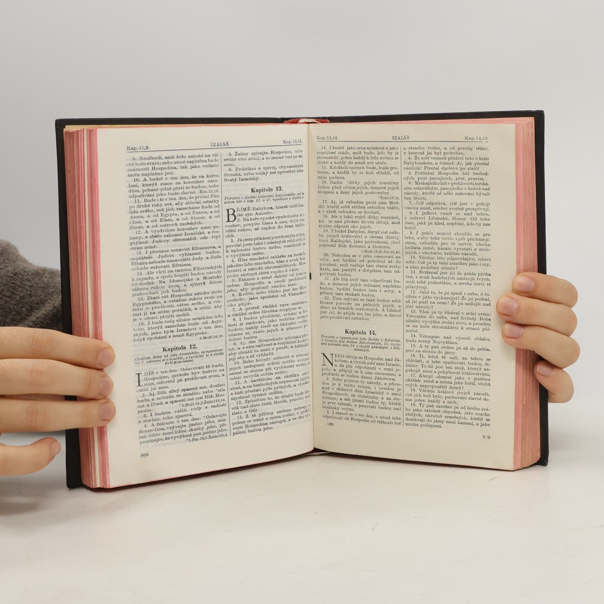 Autorenkollektiv Biblí svatá