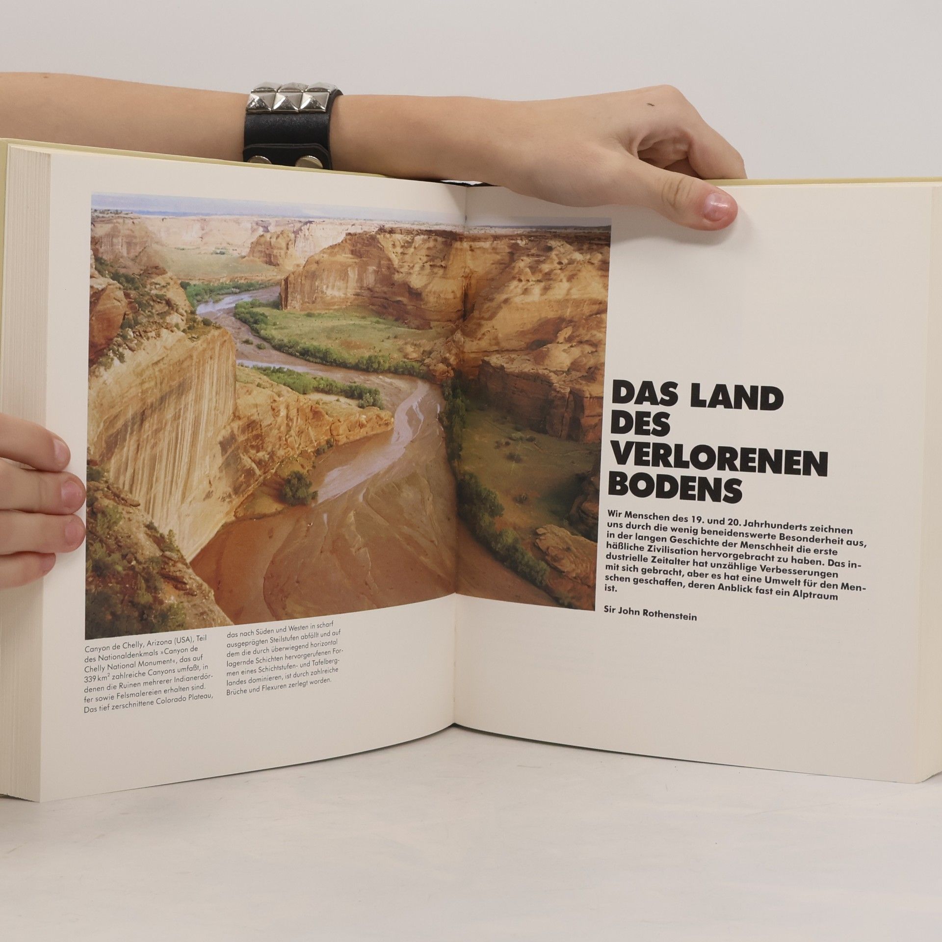 John Seymour Fern vom Garten Eden