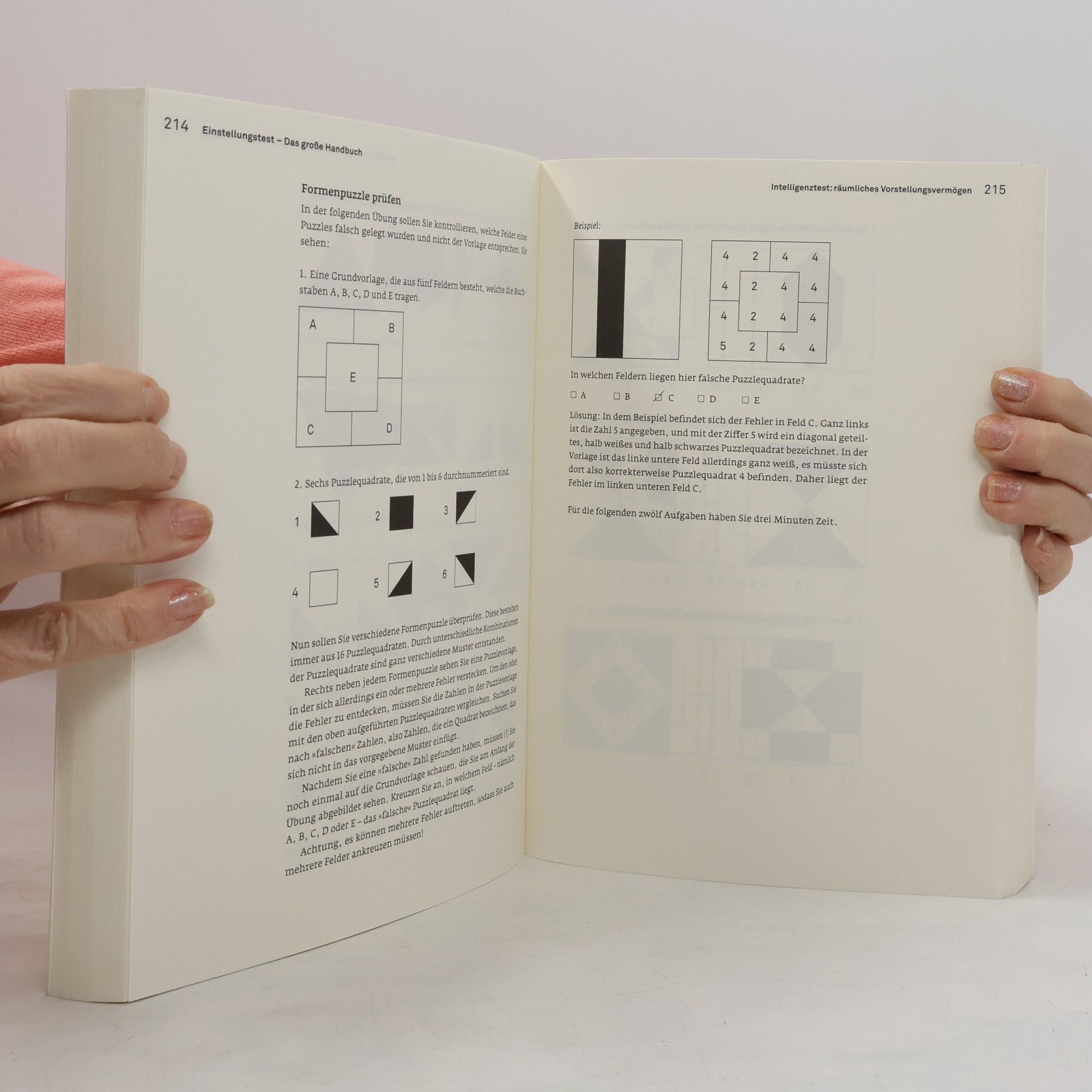 Christian Püttjer Einstellungstest - das große Handbuch