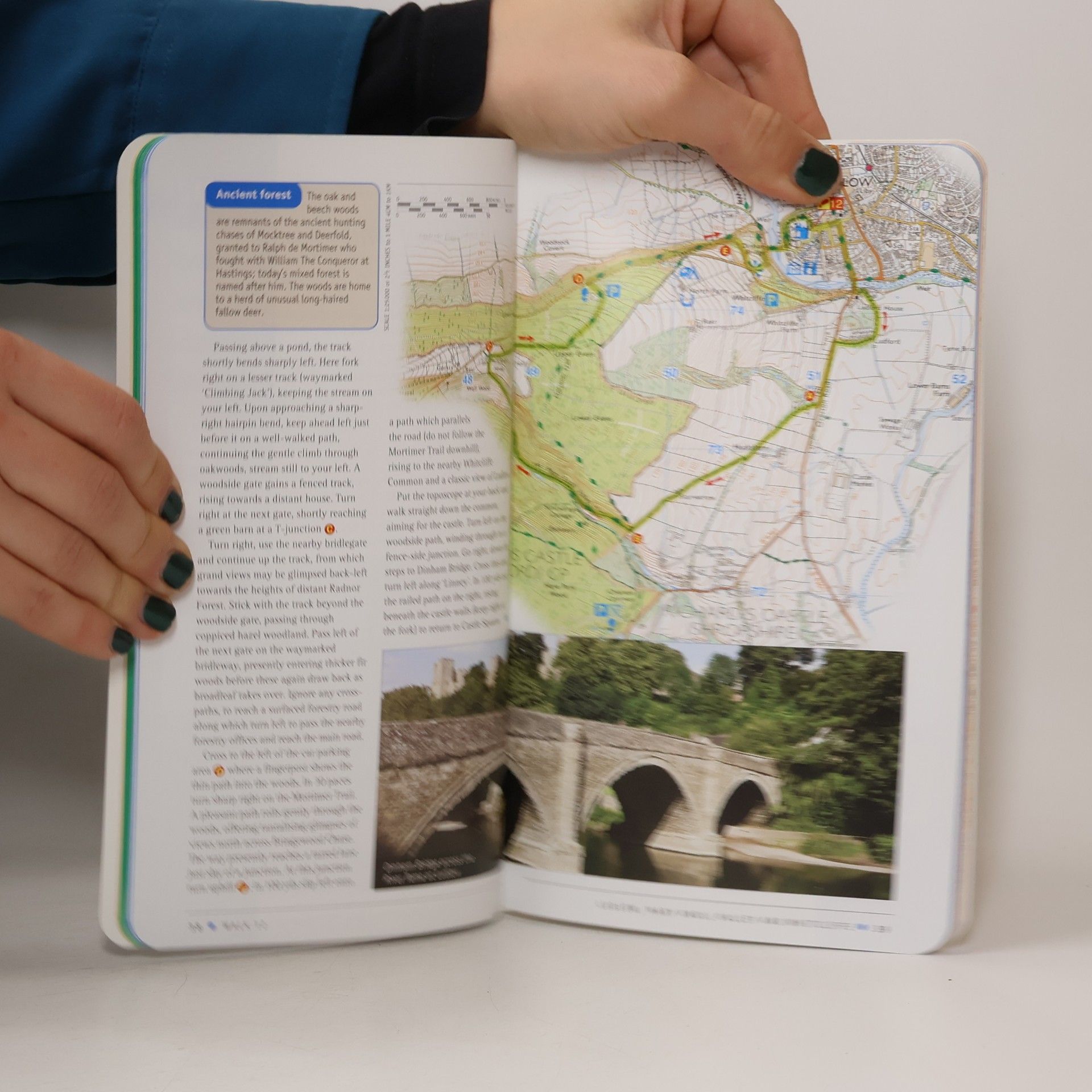 Neil Coates Pathfinder Guides - 14: Shropshire & Staffordshire