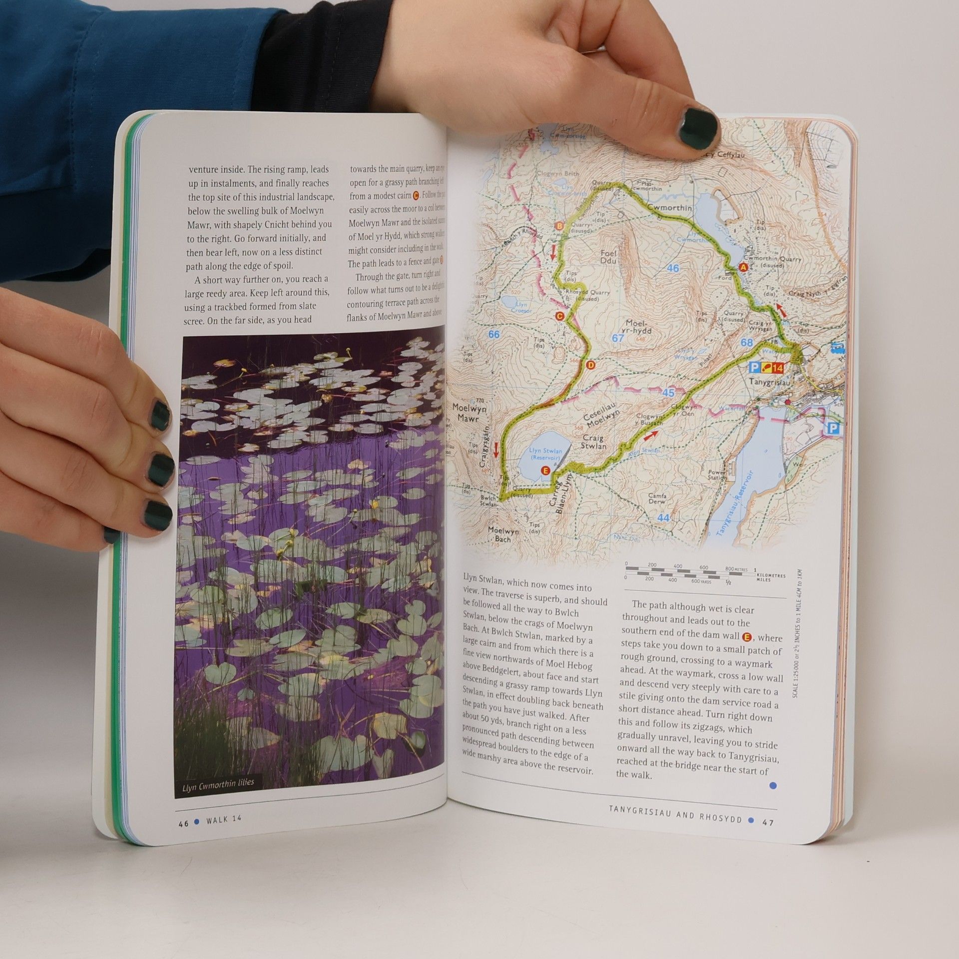 Terry Marsh Pathfinder Guides - 10: Snowdonia