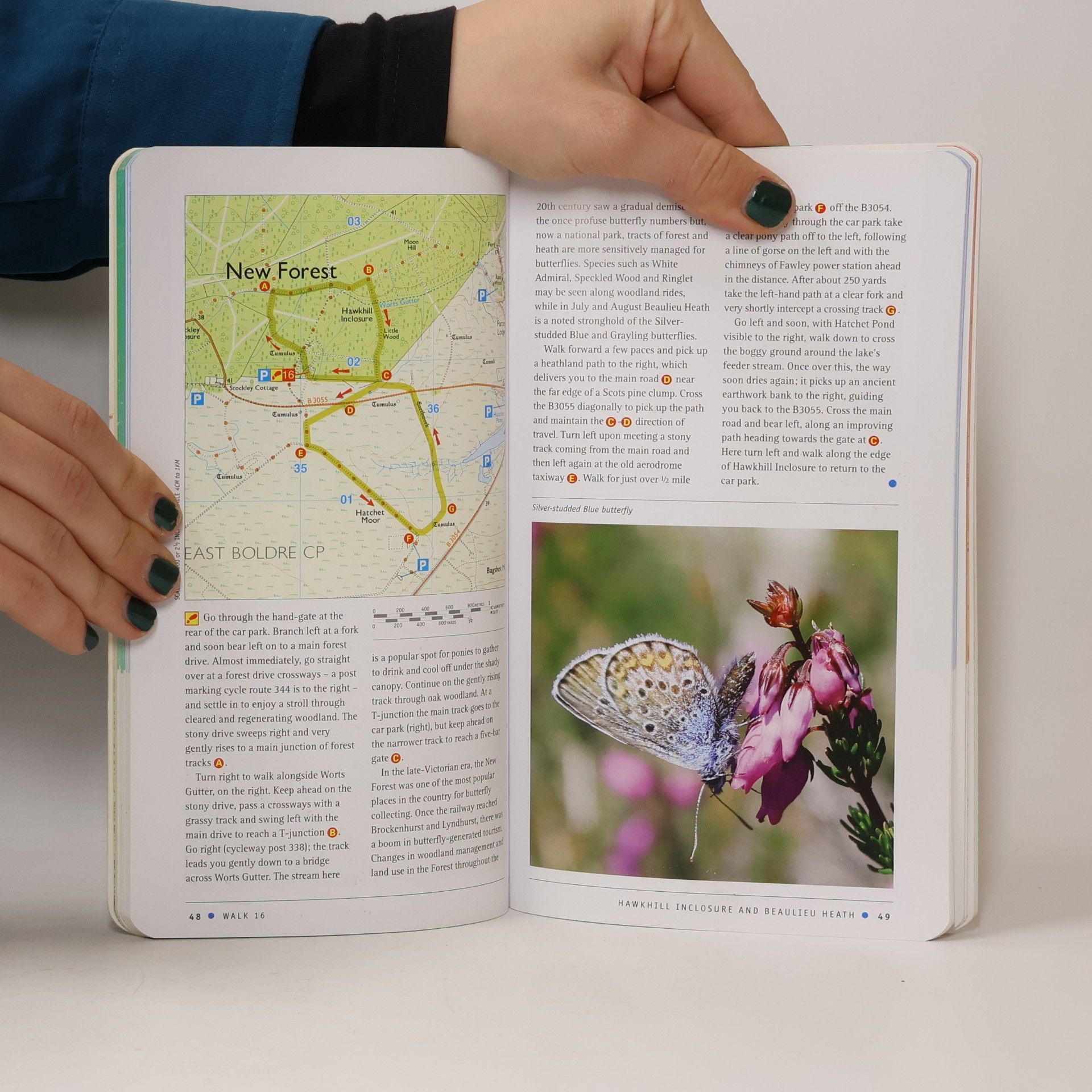David H. Foster Pathfinder Guides - 12: New Forest, Hampshire & South Downs