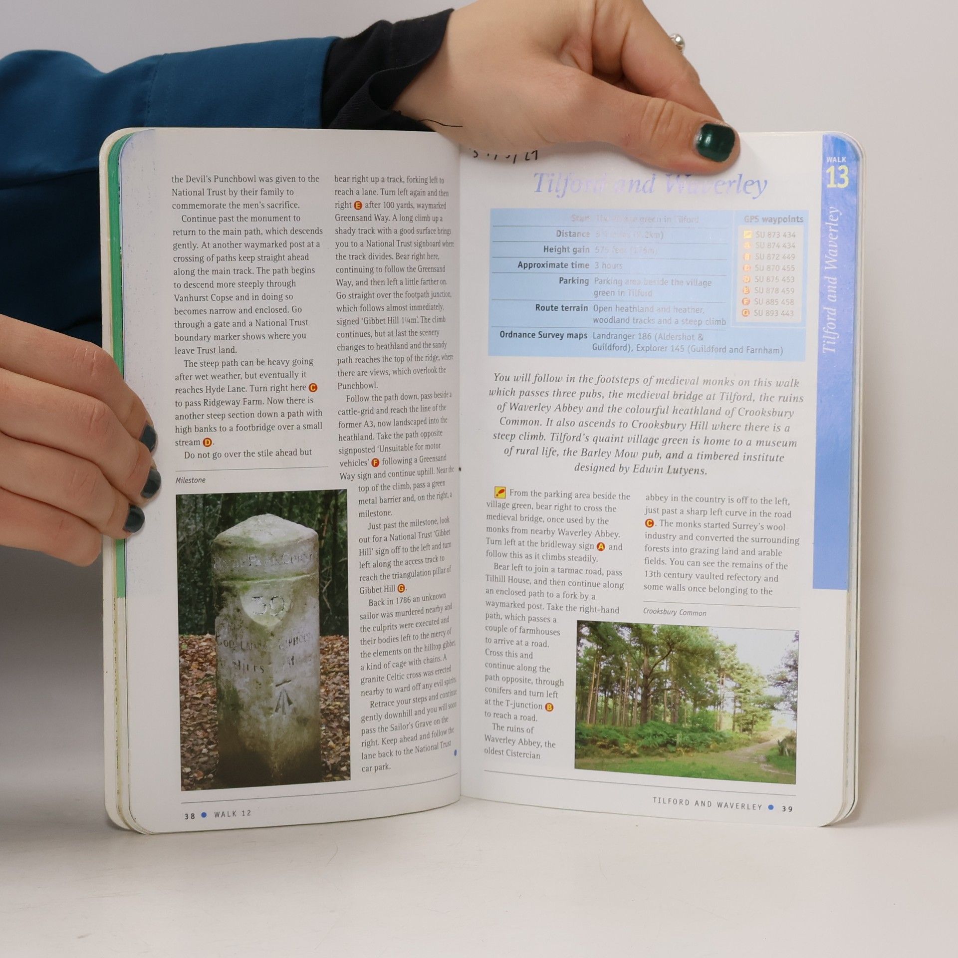 Deborah King Pathfinder Guides - 65: Surrey