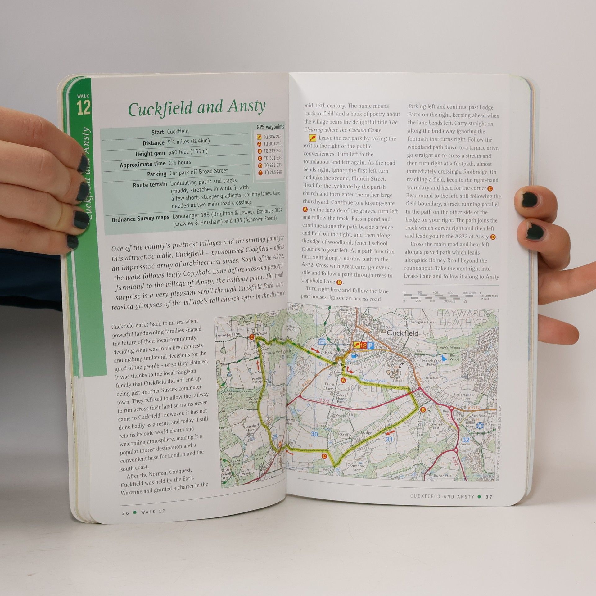 Terry Marsh Pathfinder Guides - 66: West Sussex & the South Downs Walks