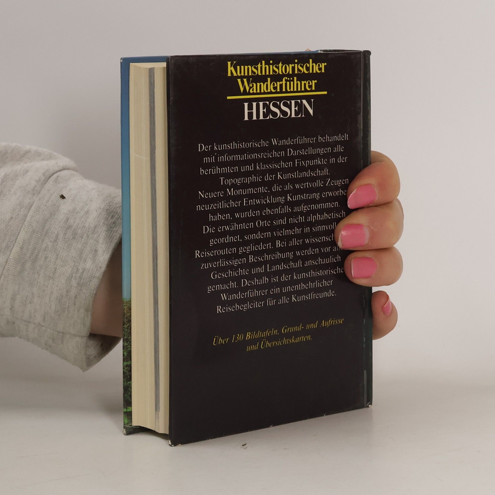 Autores varios Kunsthistorischer Wanderführer - Hessen