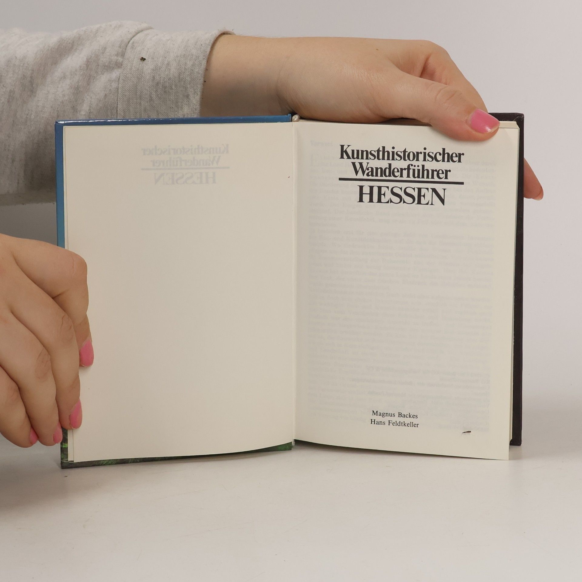 Autores varios Kunsthistorischer Wanderführer - Hessen