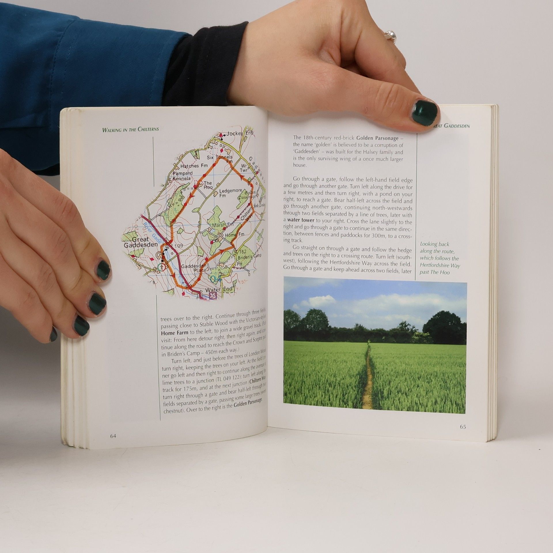 Steve Davison Cicerone Guidebooks: Walking in the Chilterns