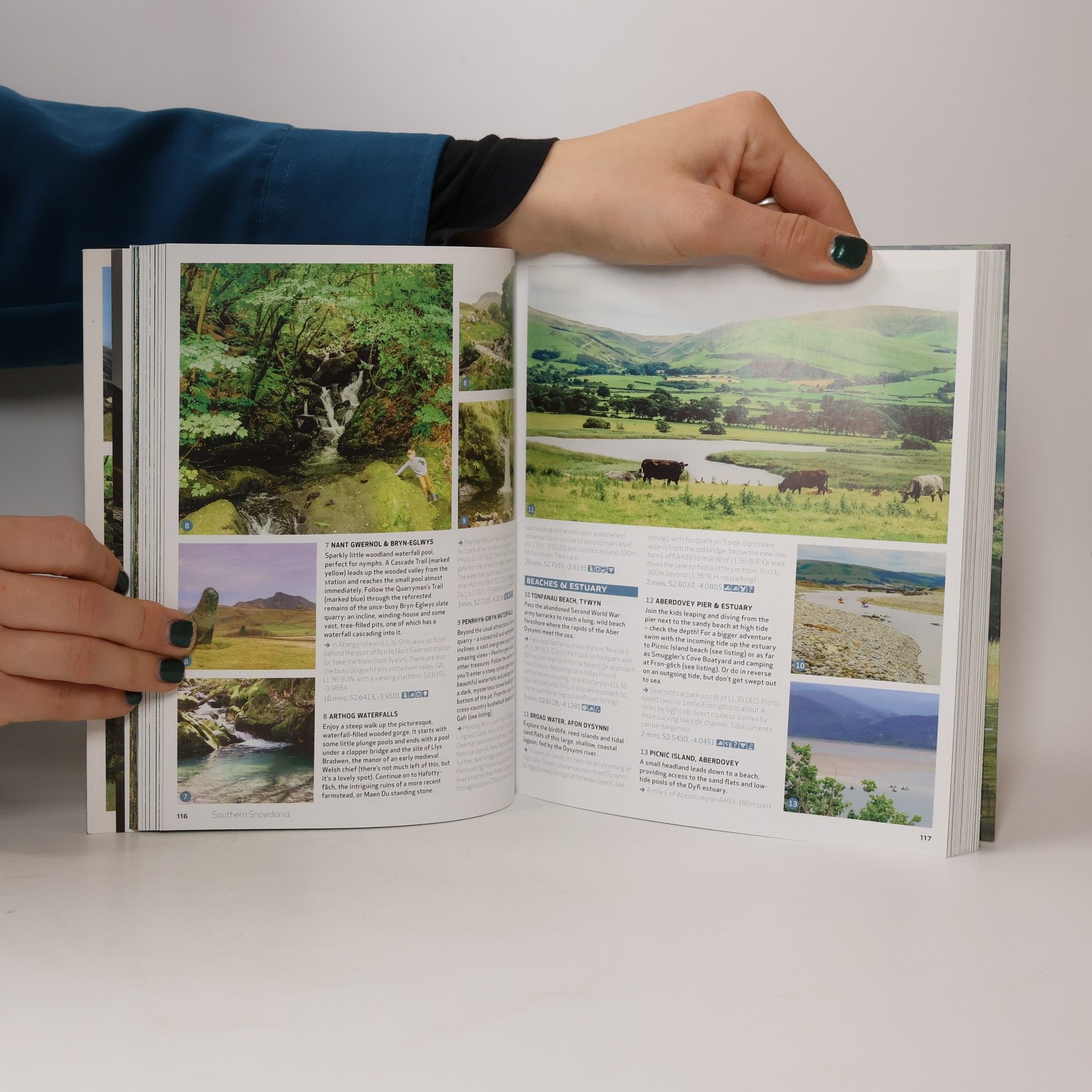 Daniel Start Wild Guides: Wild Guide Wales and Marches