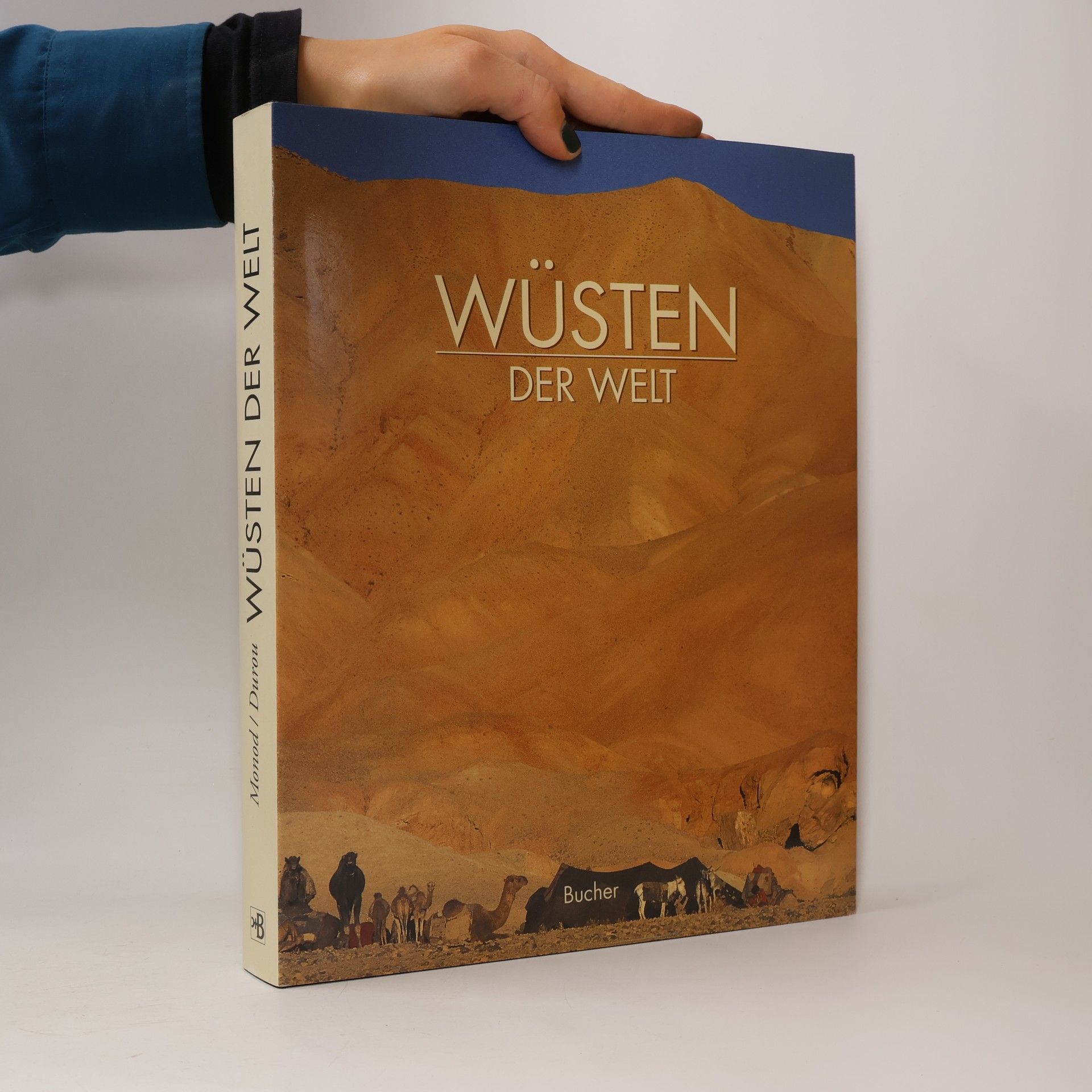 Wüsten der Welt
