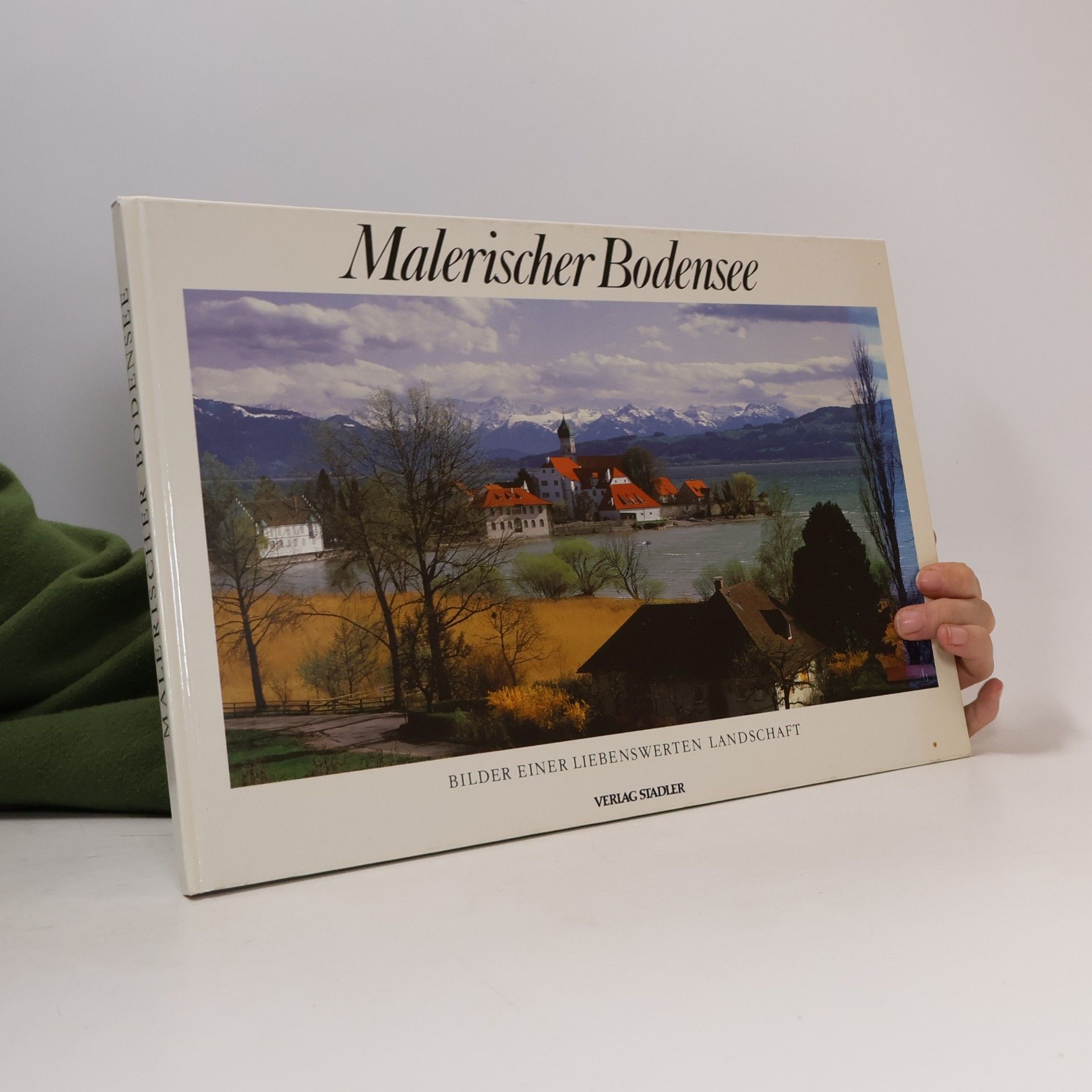 Malerischer Bodensee