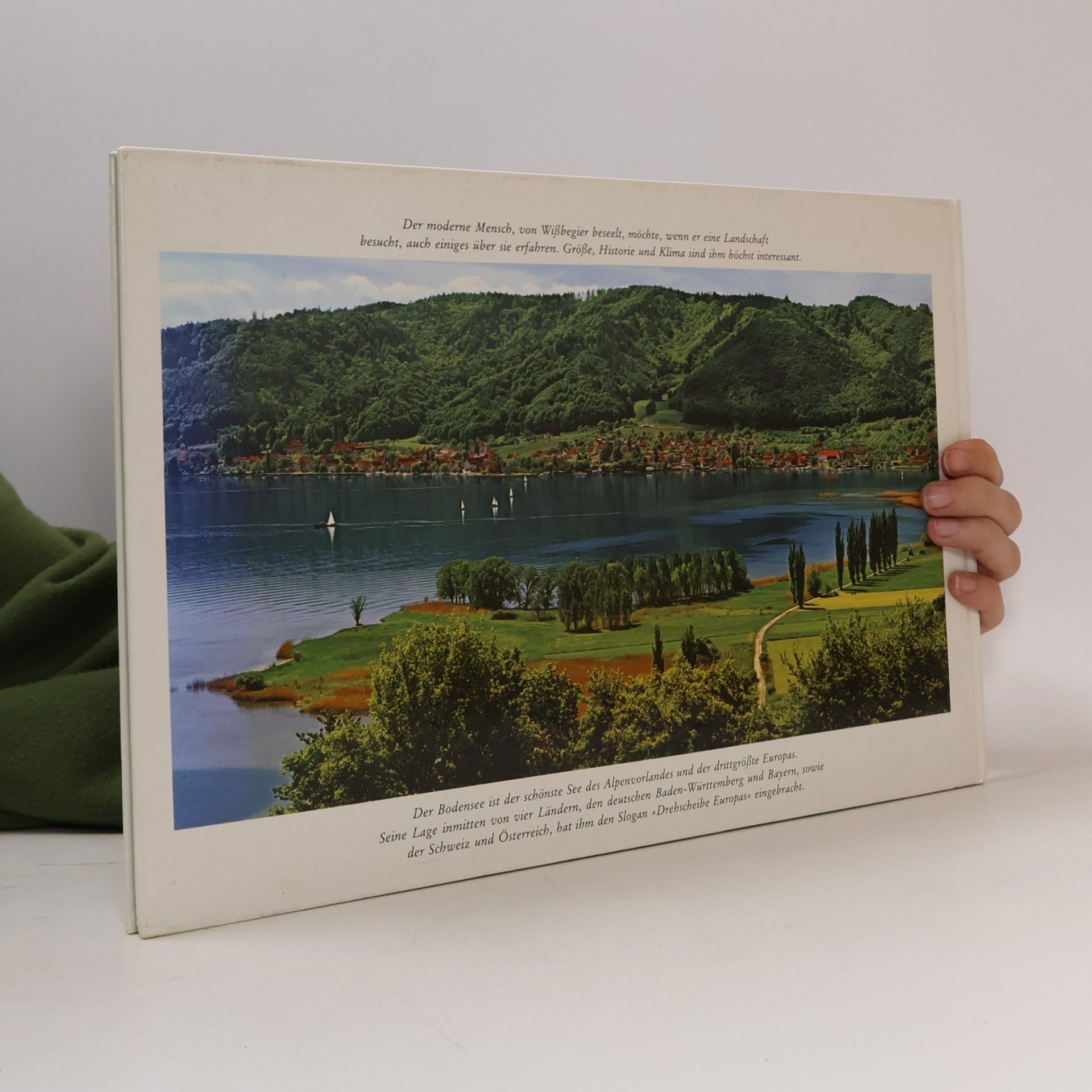 Toni Schneiders Malerischer Bodensee