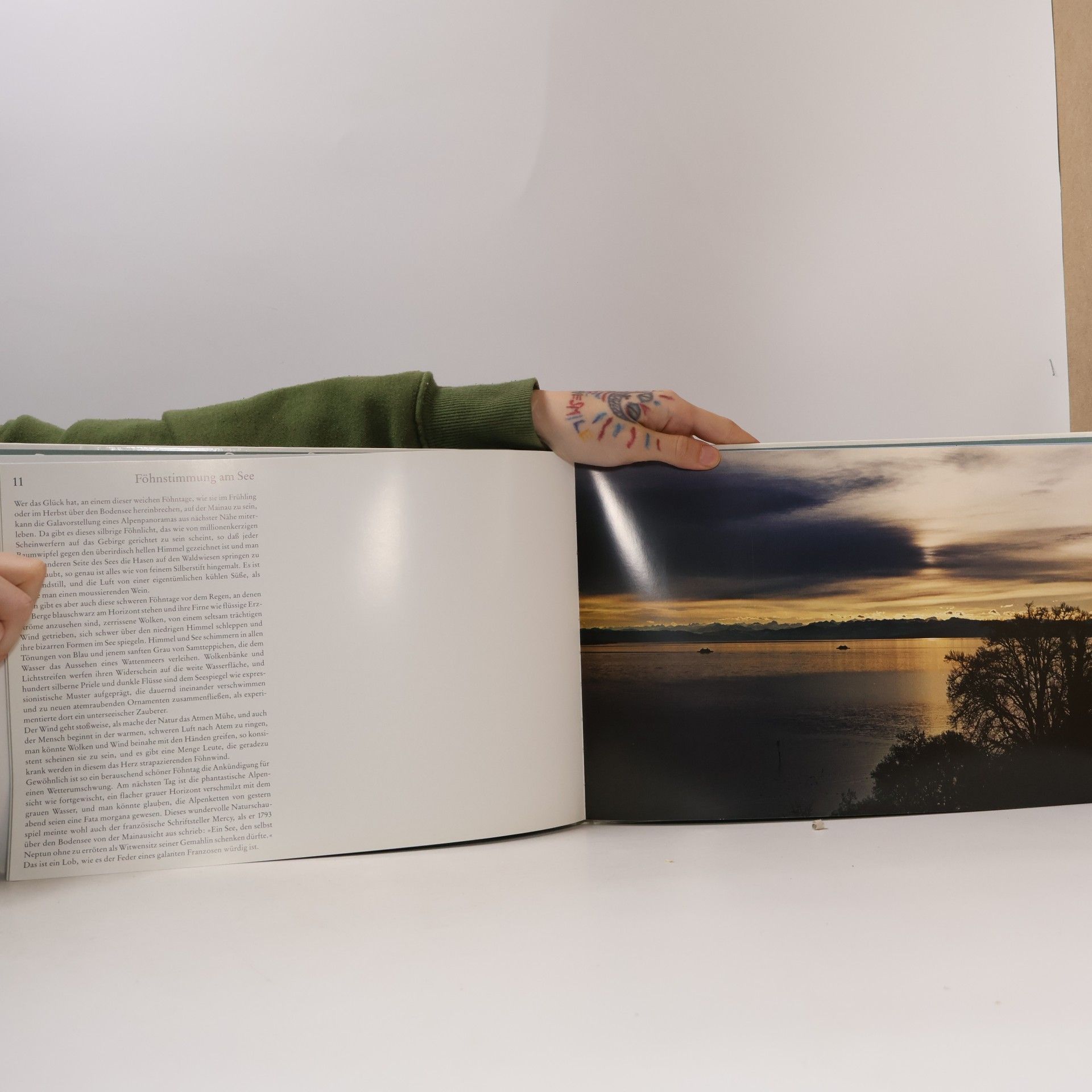 Toni Schneiders Malerischer Bodensee