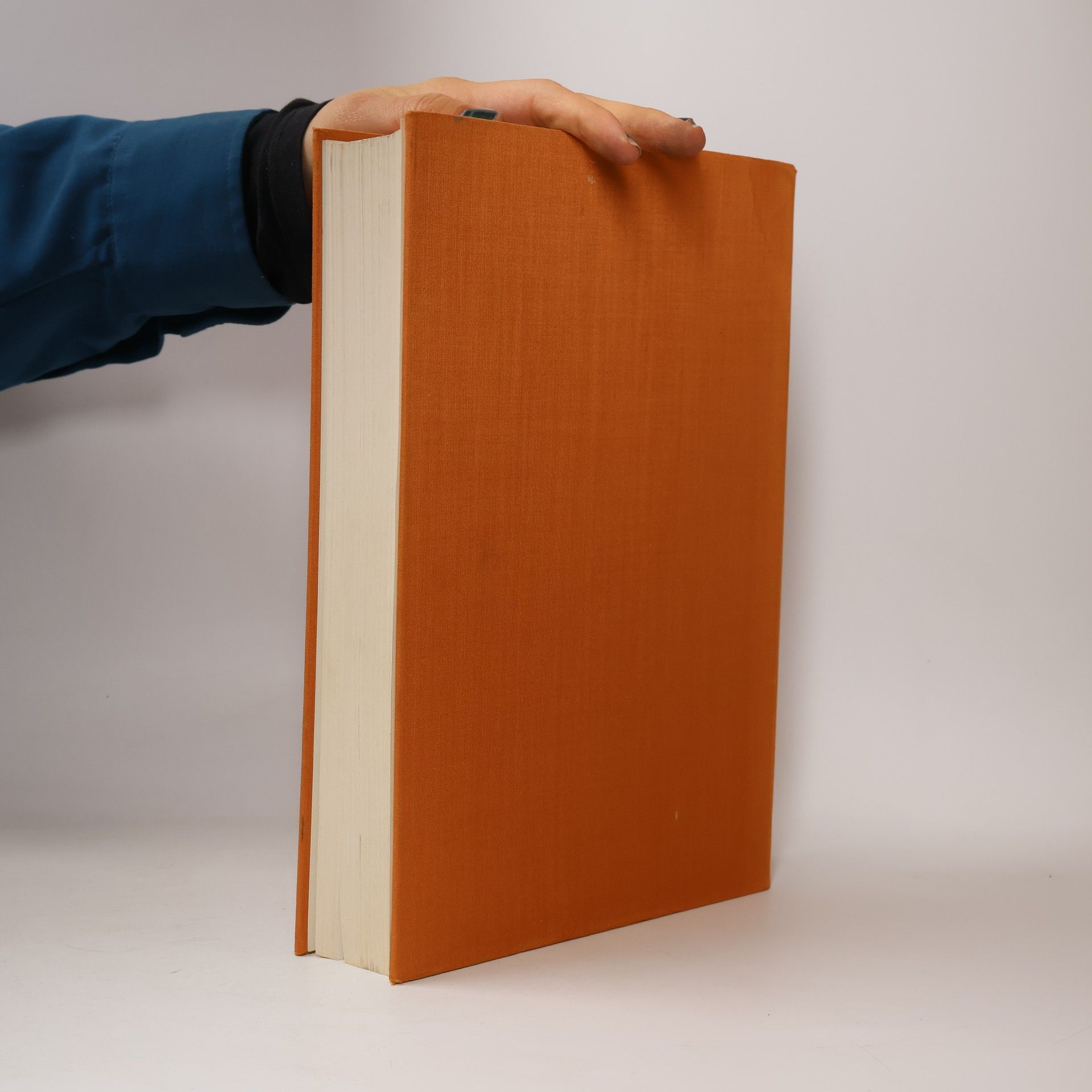 Collectif d'auteurs Das grosse Buch der Malerei