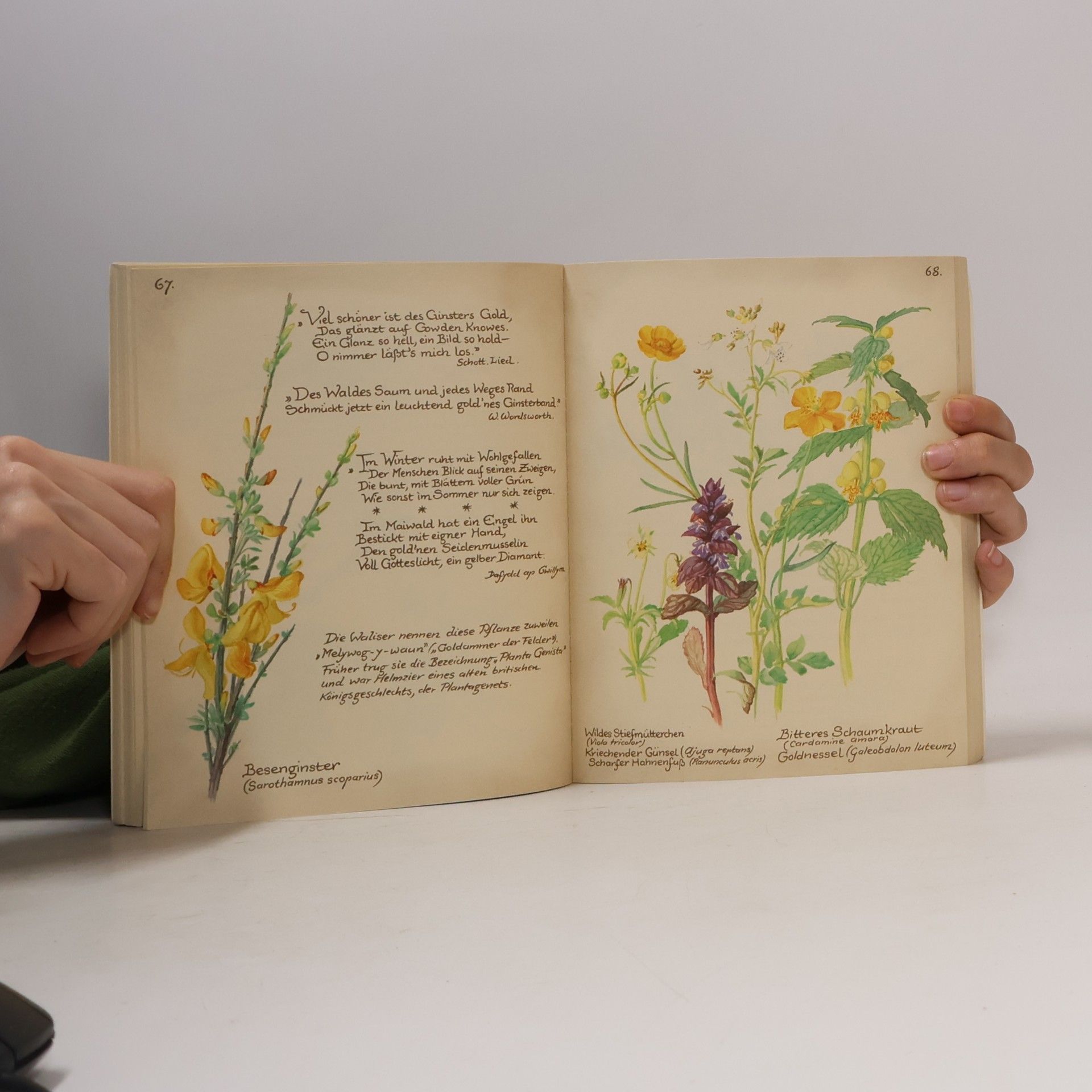Edith Holden Vom Glück, mit der Natur zu leben