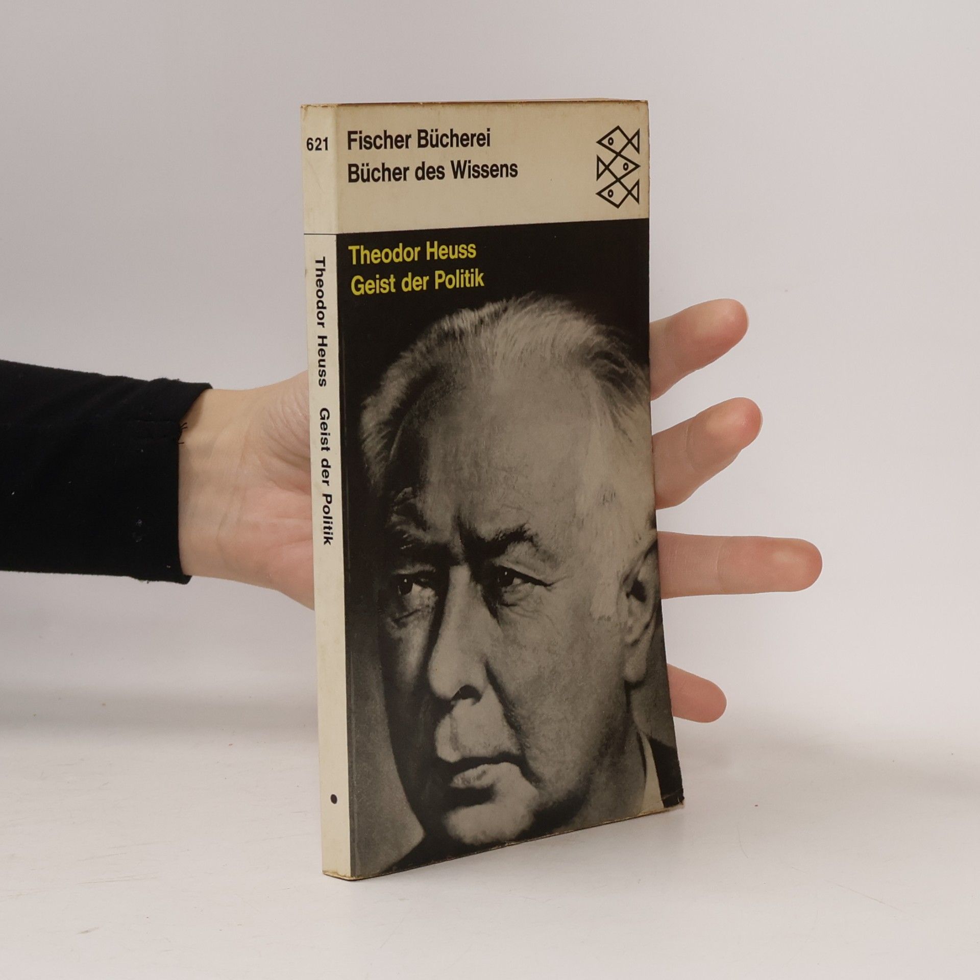 Geist der Politik