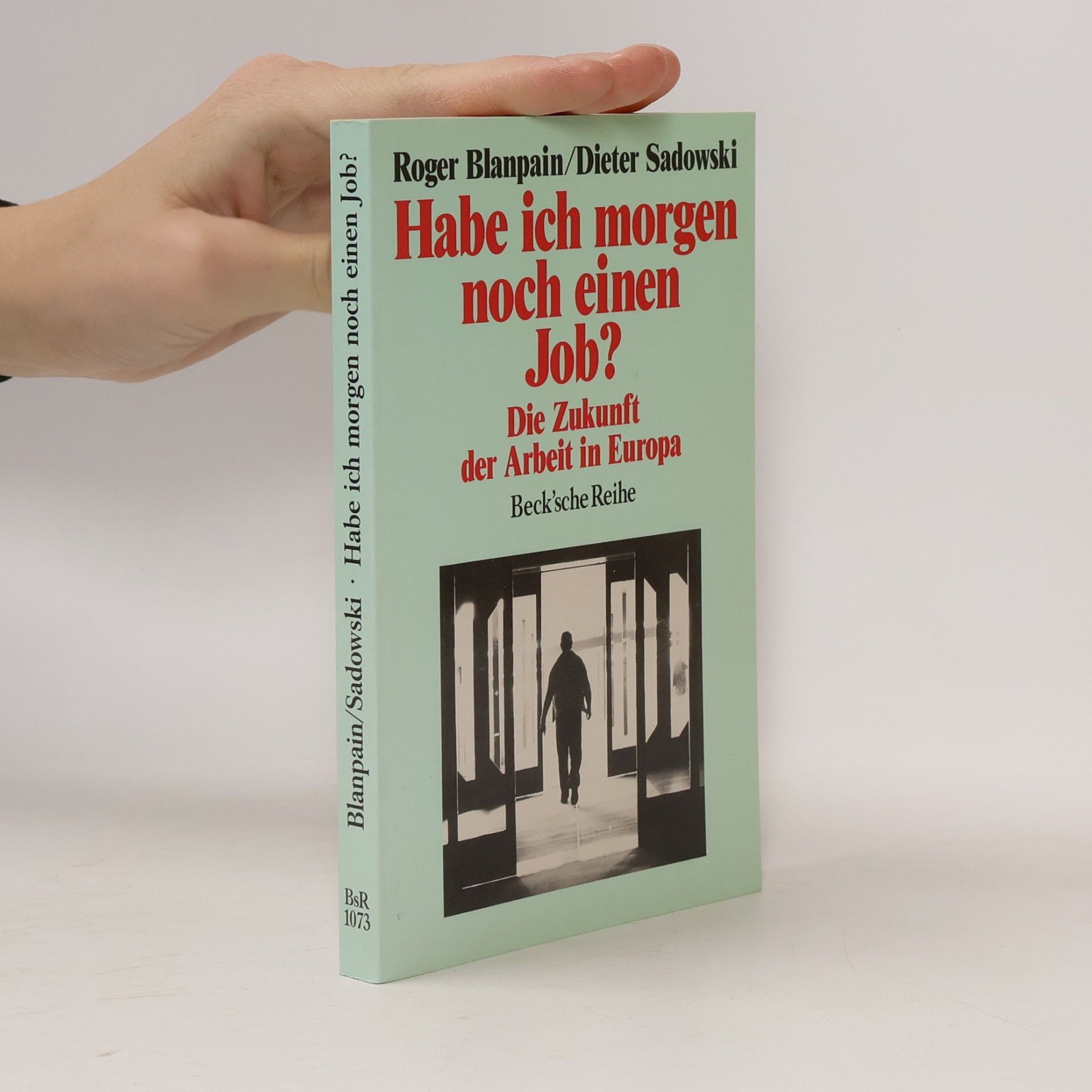 Roger Blanpain Beck'sche Reihe - 1073: Habe ich morgen noch einen Job?