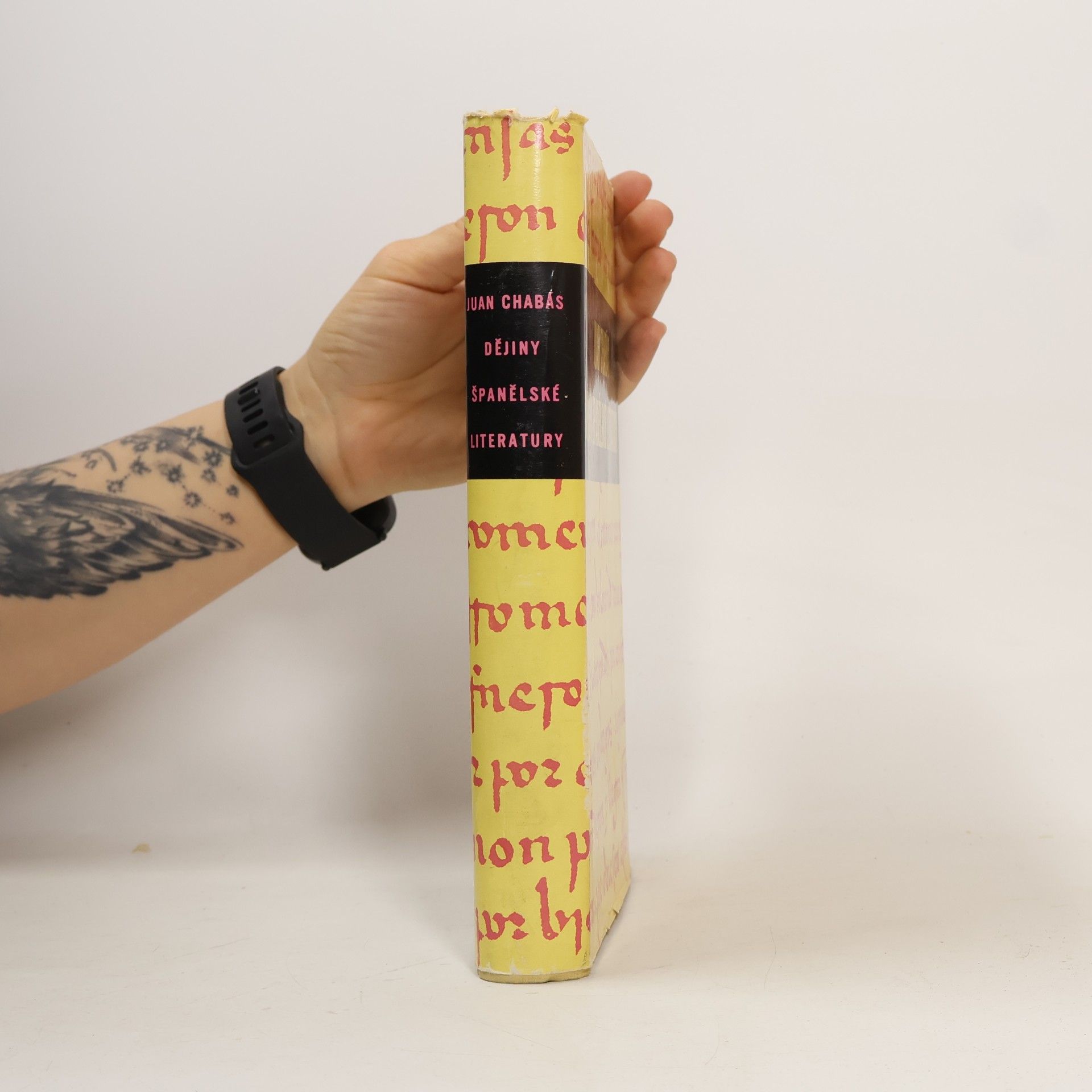 Juan Chabás Dějiny španělské literatury