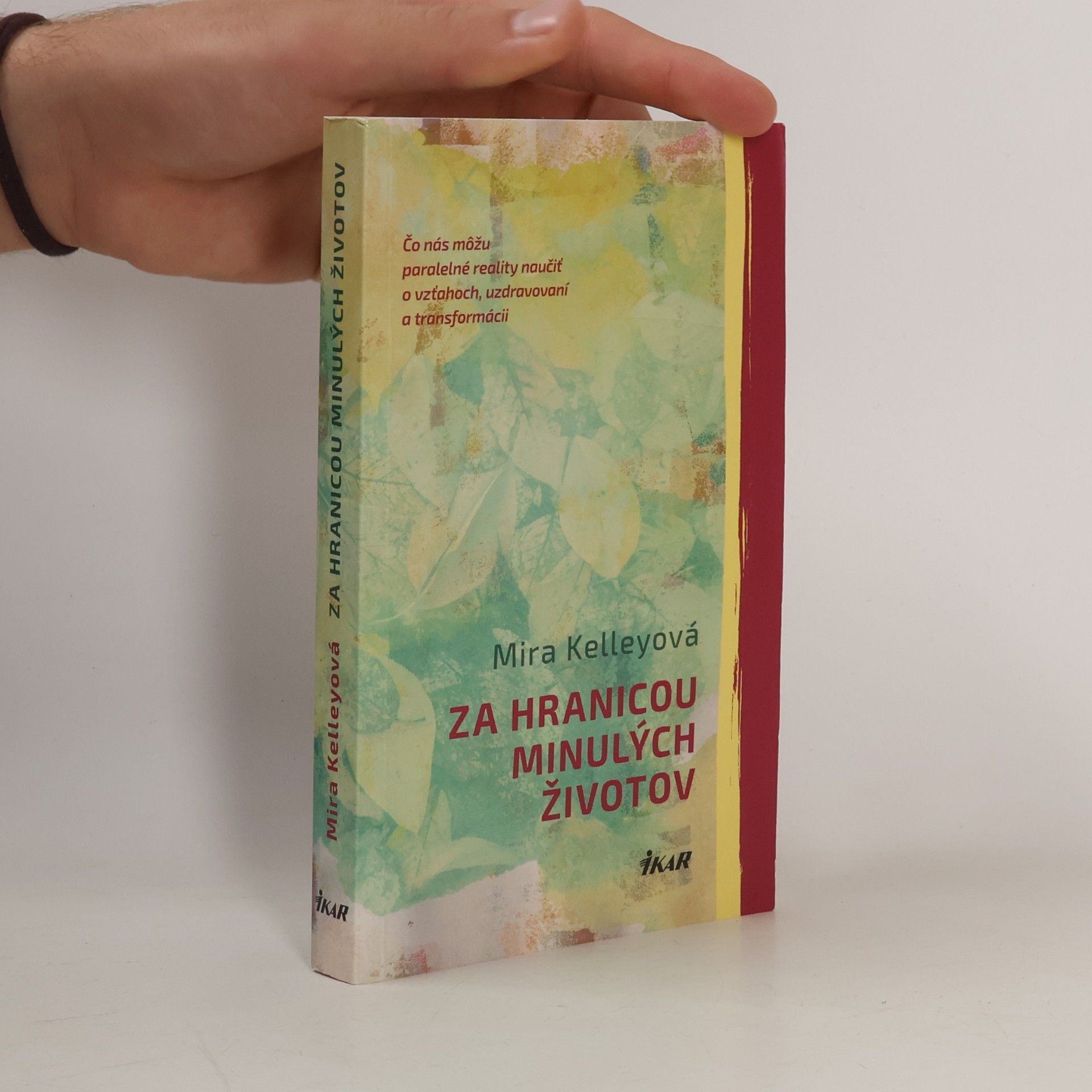 Za hranicou minulých životov