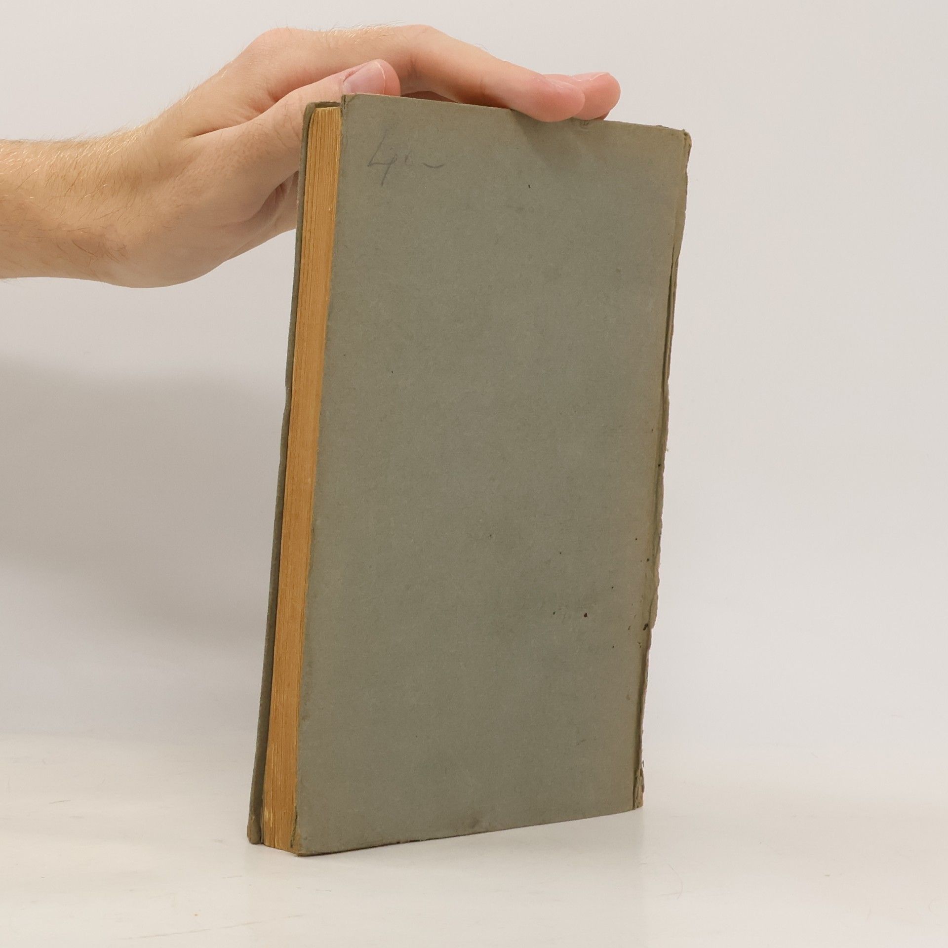 Georg Warnecke Vorschule der Kunstgeschichte