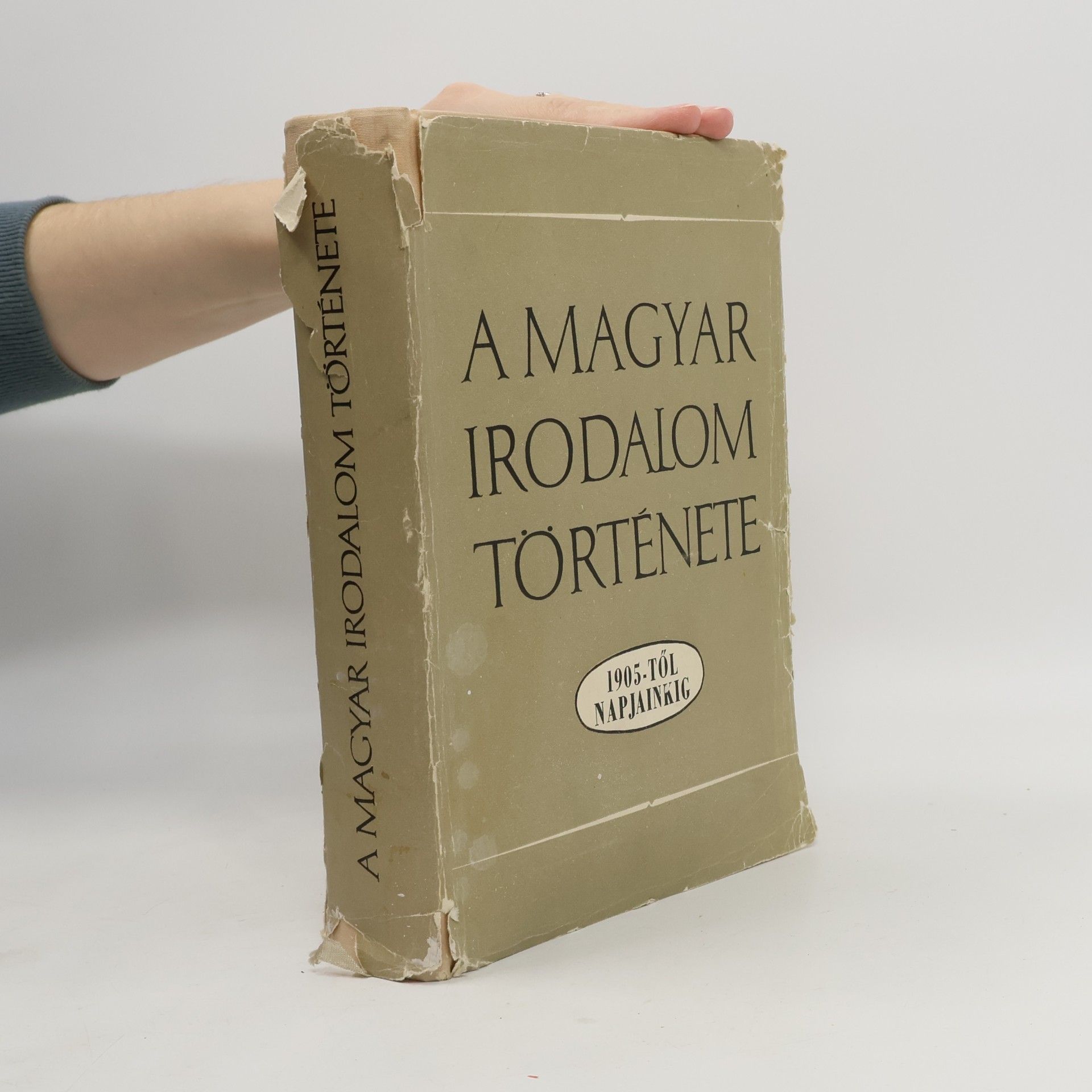 Koroknay István A Magyar Irodalom Története
