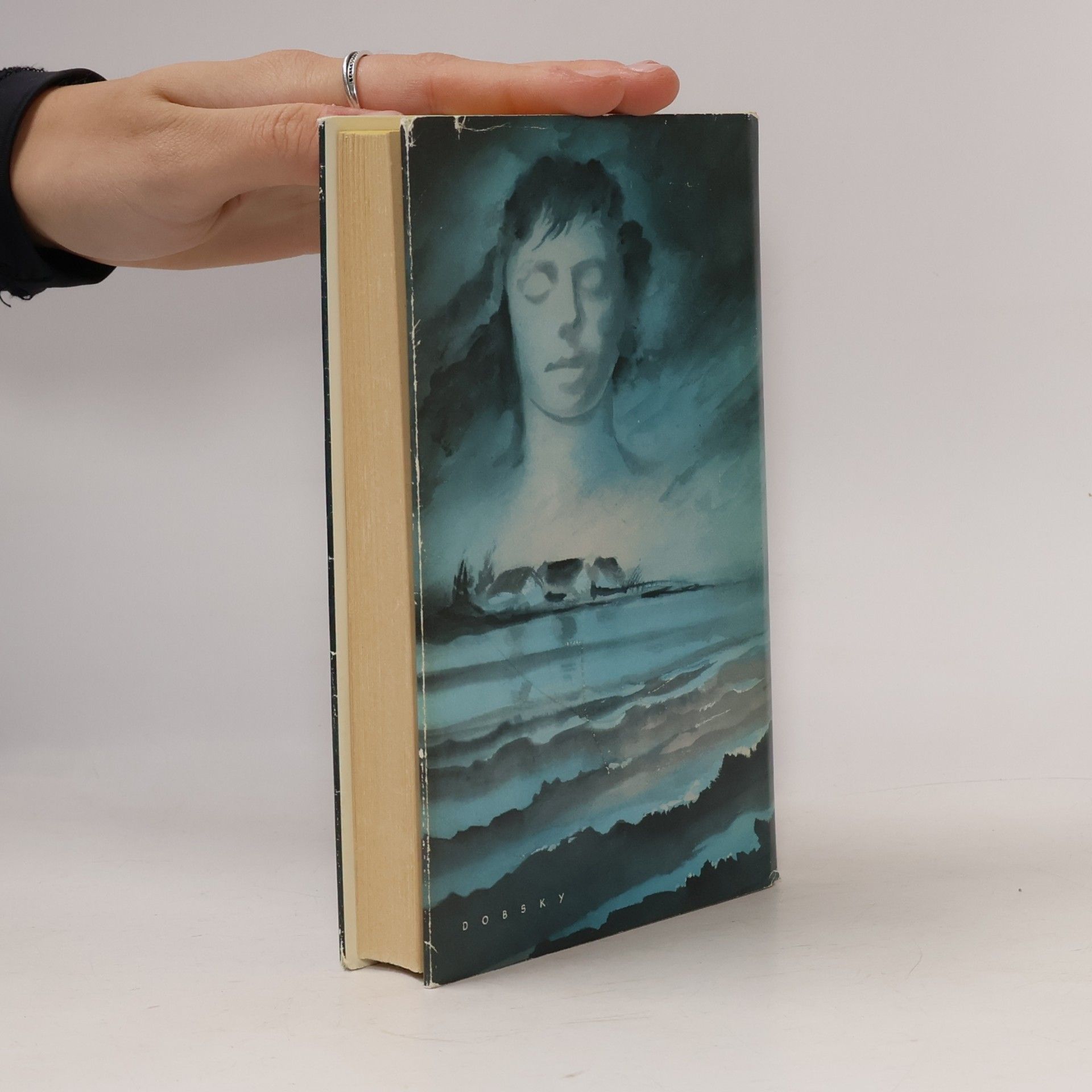 Theodor Storm Der Schimmelreiter. Aquis submersus