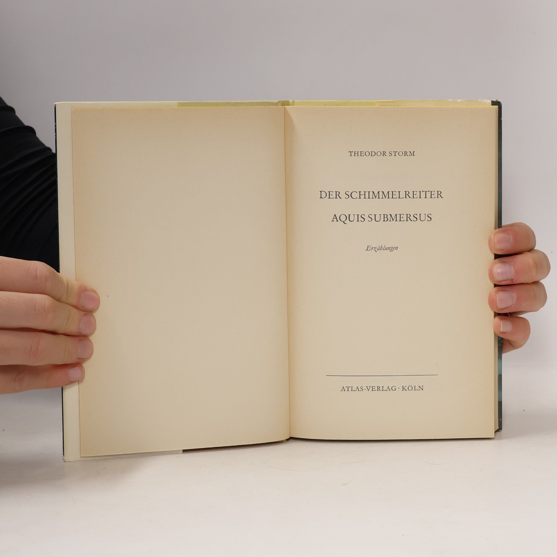 Theodor Storm Der Schimmelreiter. Aquis submersus