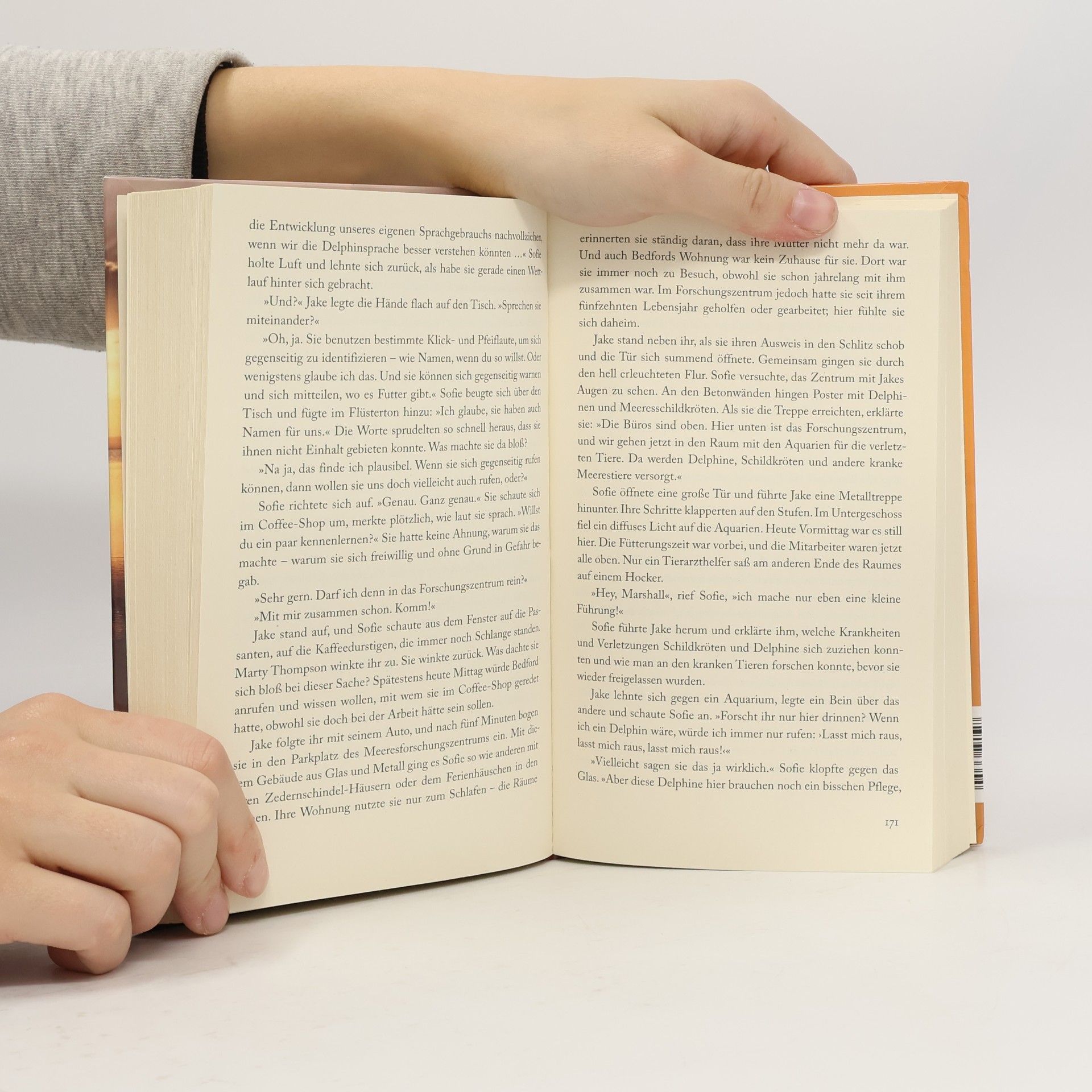 Patti Callahan Henry Leuchtend wie der Horizont