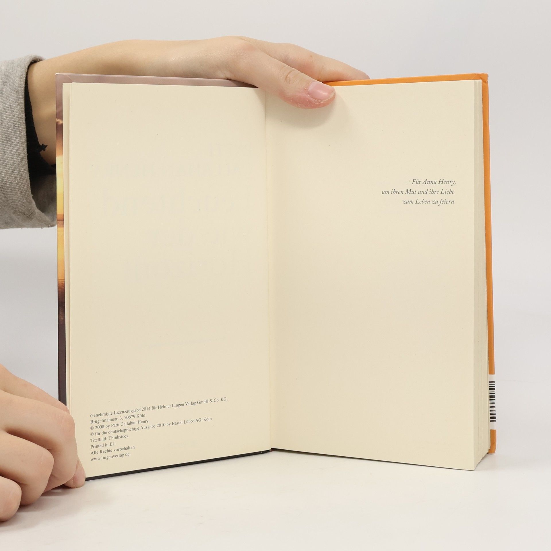 Patti Callahan Henry Leuchtend wie der Horizont