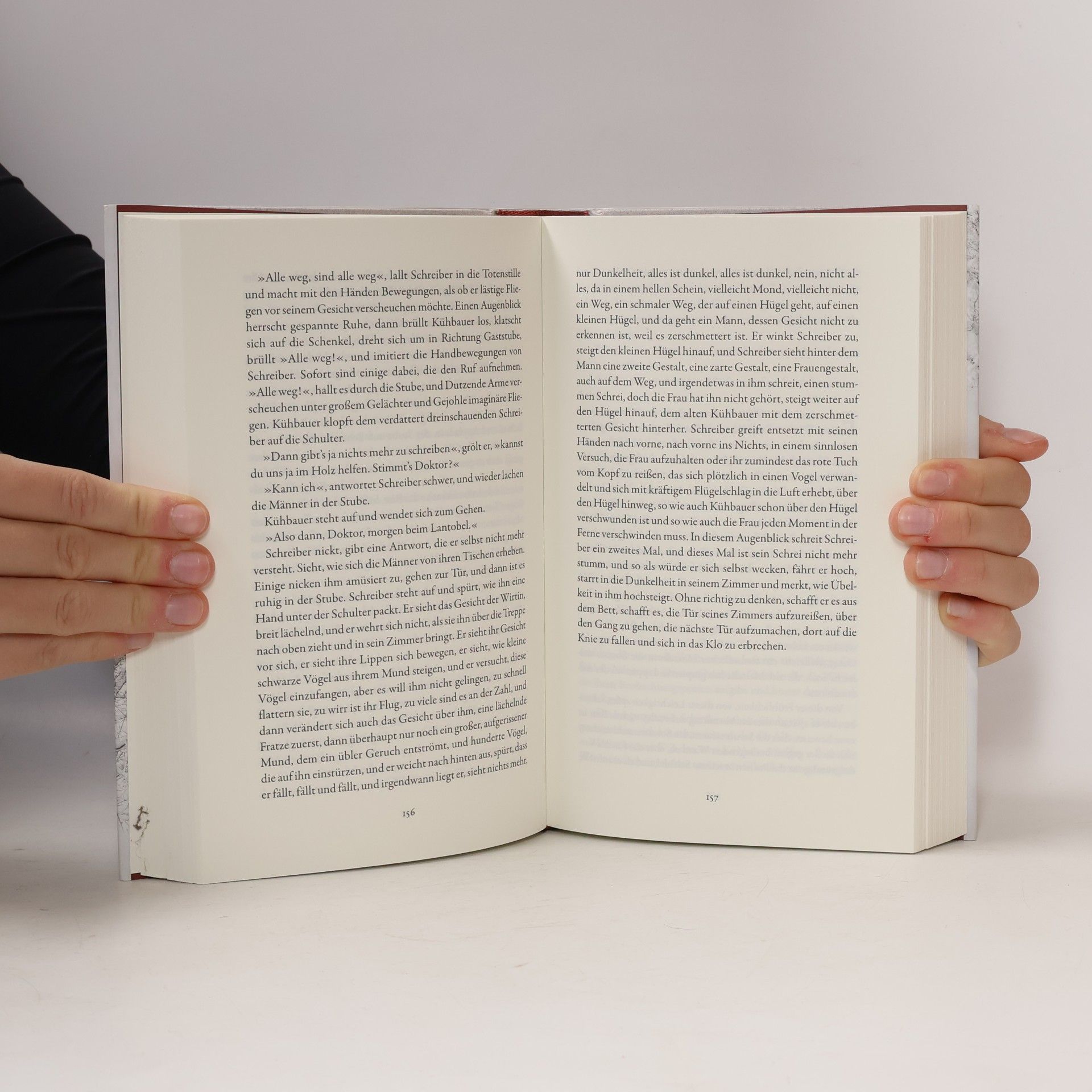 Gerhard Jäger Der Schnee, das Feuer, die Schuld und der Tod