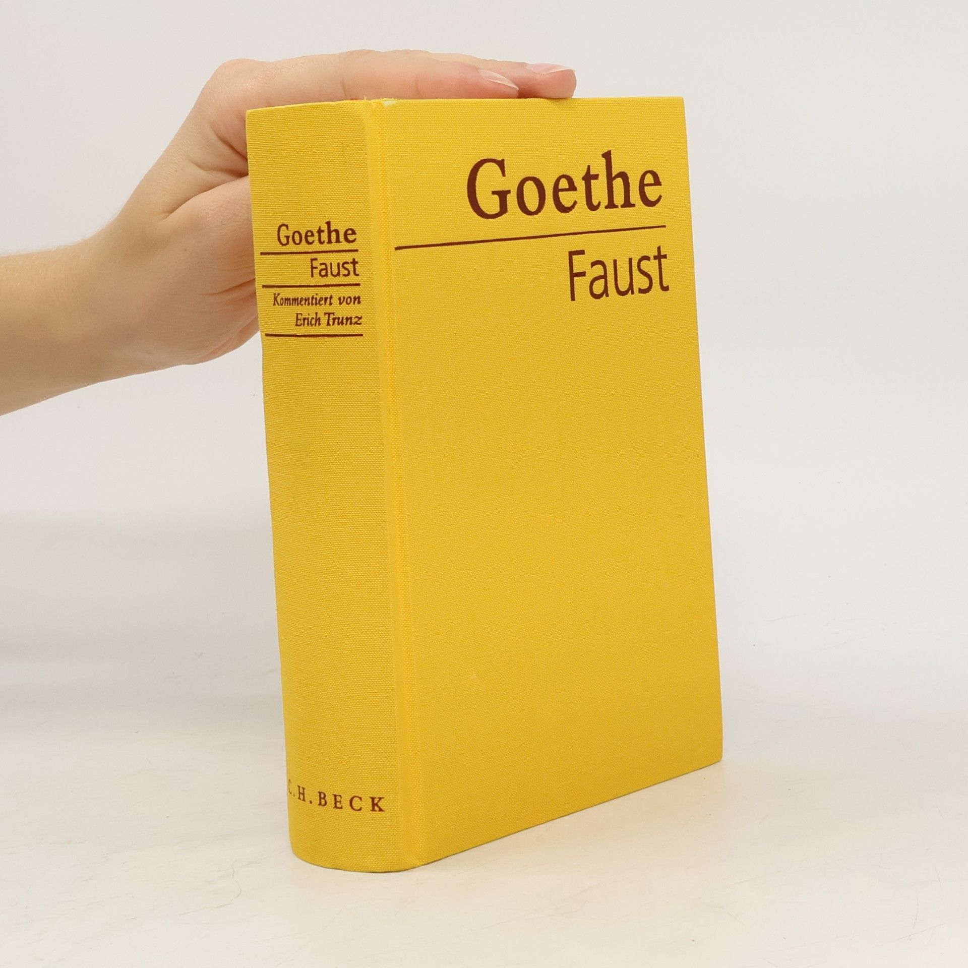 Johann Wolfgang von Goethe Faust