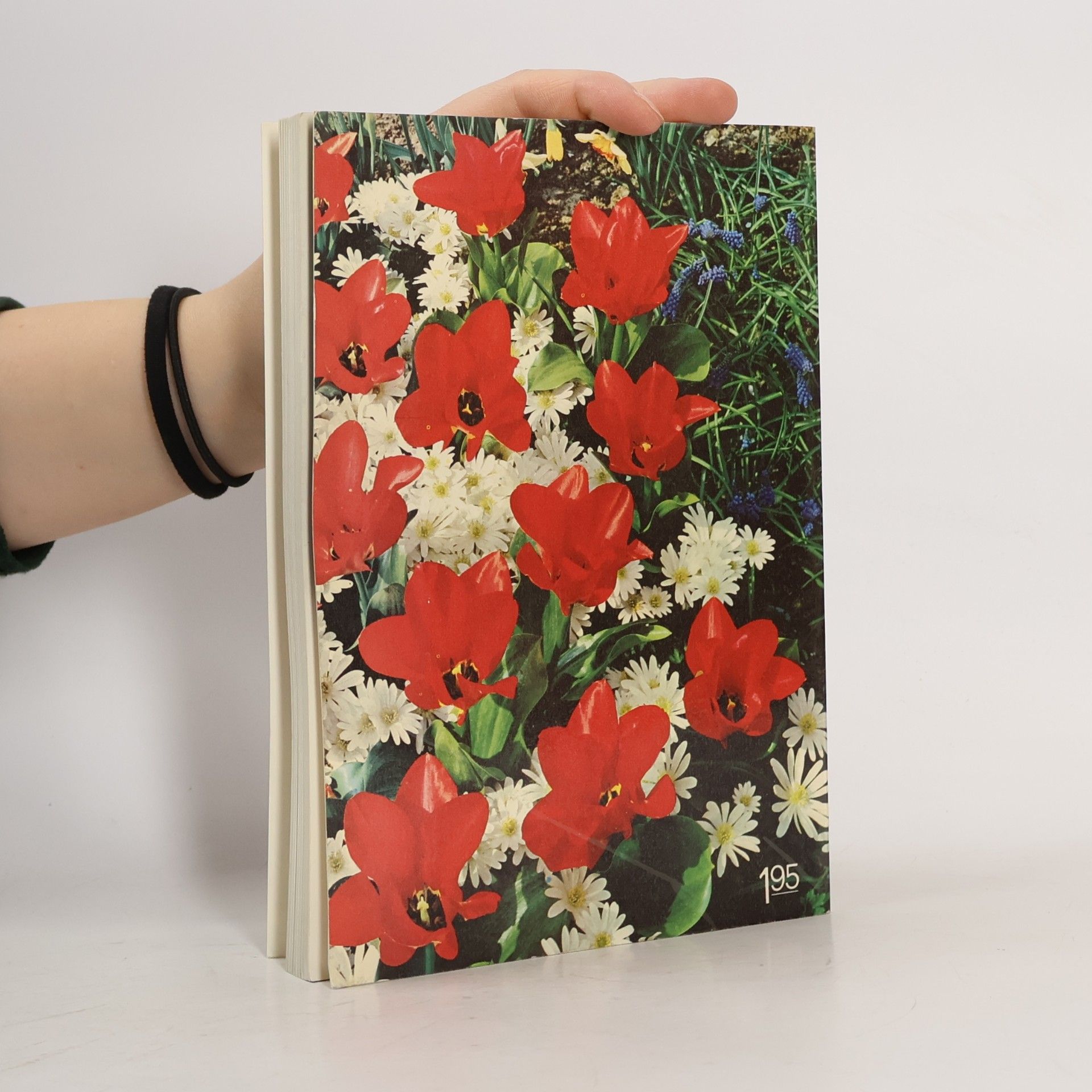 Regina Wiedmer Mehr Freude mit Blumen und Pflanzen