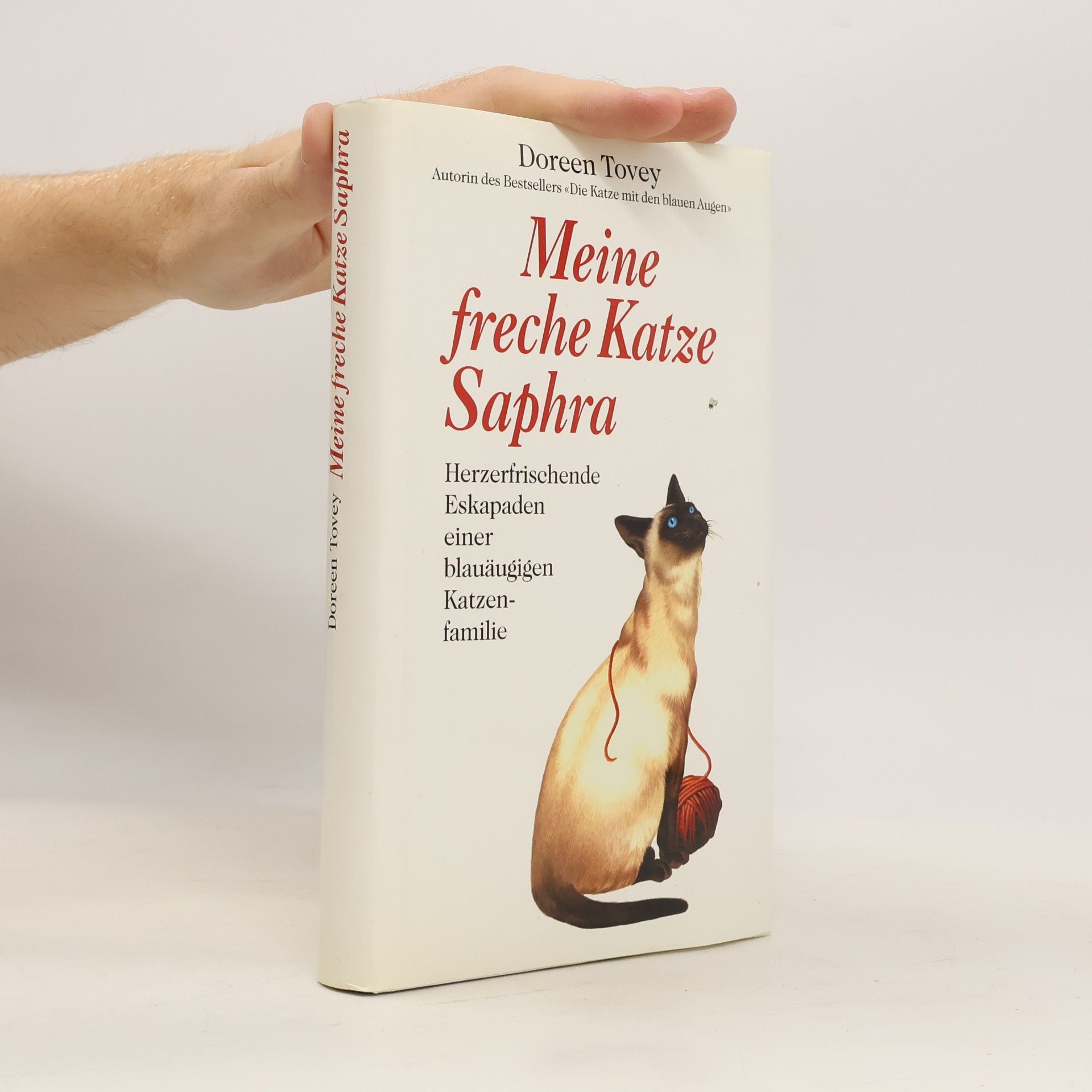 Meine freche Katze Saphra