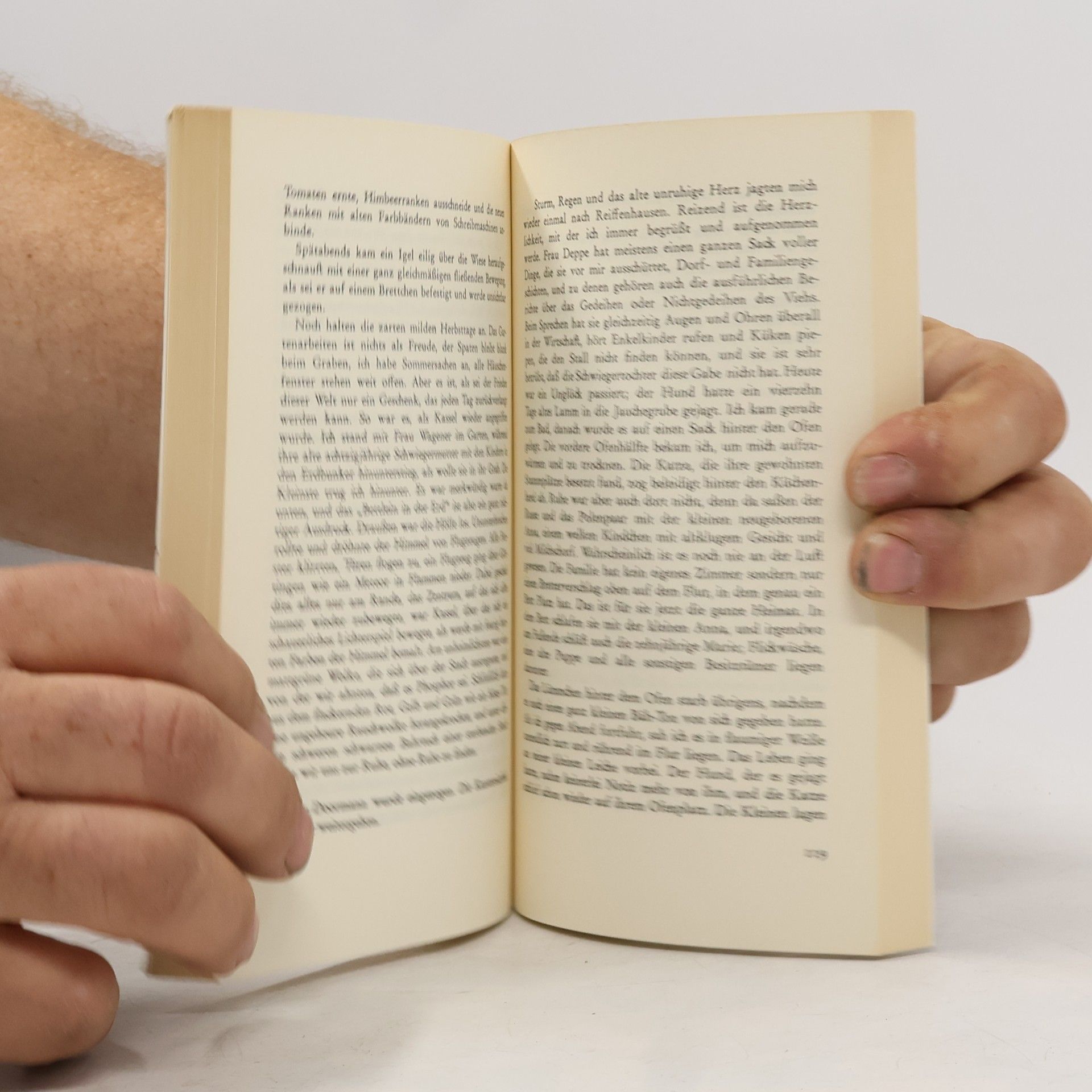 Grete Paquin Göttinger Tagebuch 1938-1947